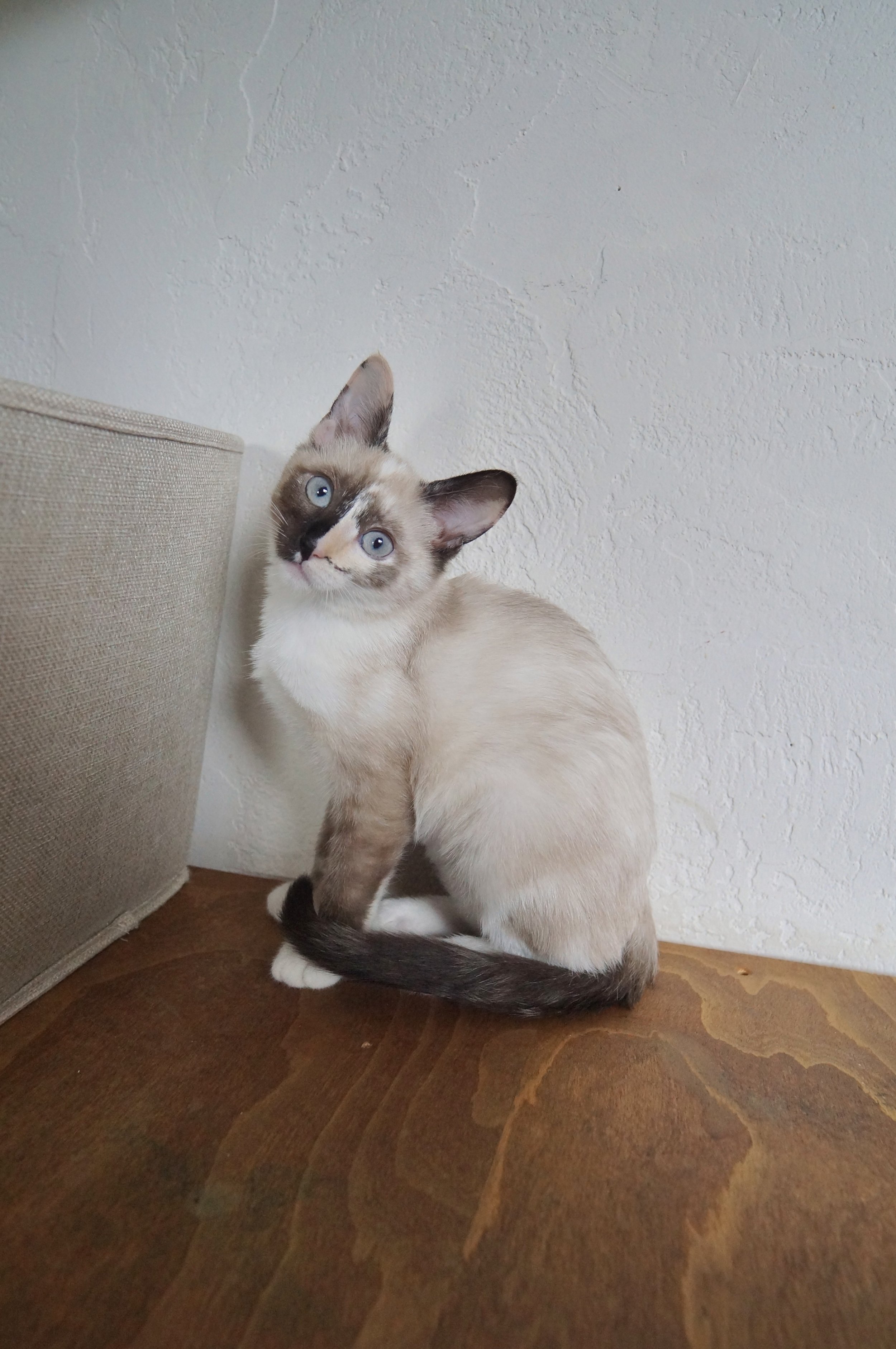 DSC07233.jpeg