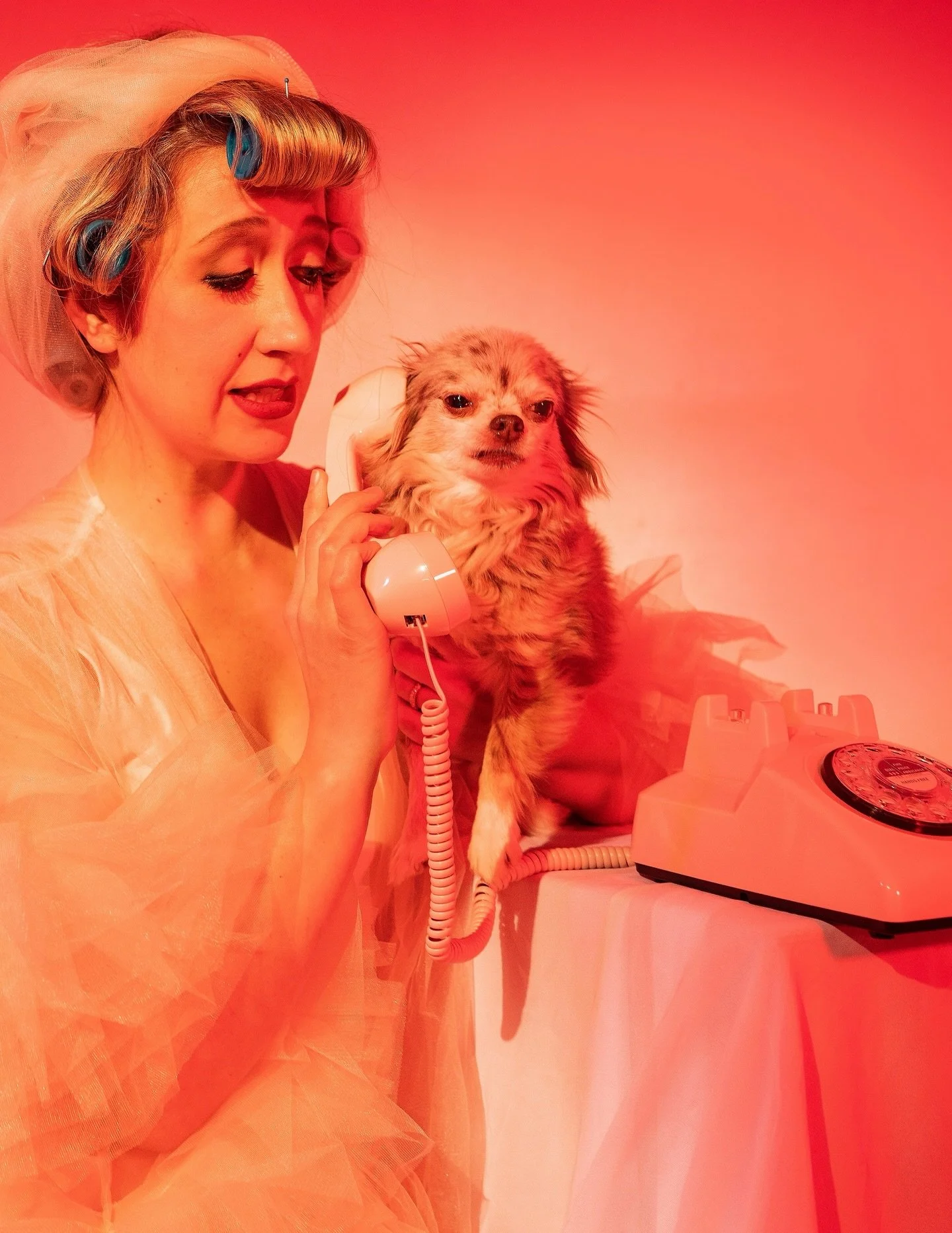 ARES GOD OF WAR / 2011-2026 / Tiny yet mighty. Missing him every single moment since he passed away 3 weeks ago. It&rsquo;s hard for me to find the words for how much this little dog meant to me, meant to JL and the boys. Driving back from CT yesterd