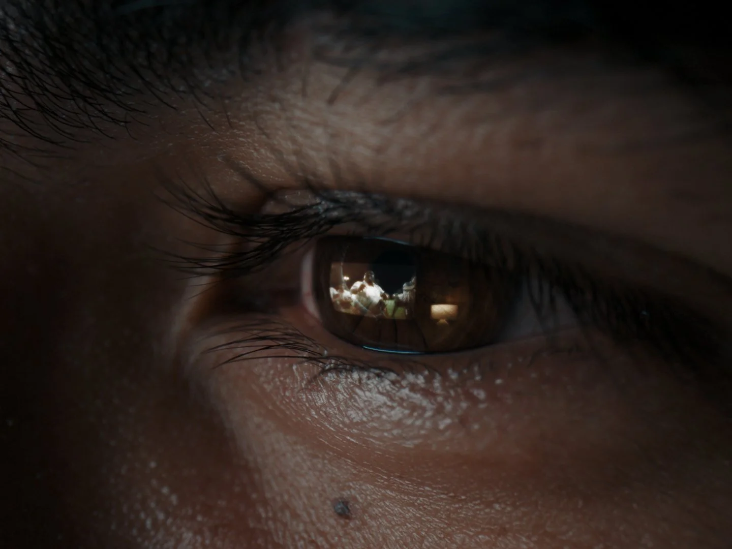 New: Wayfinders [Campaign]