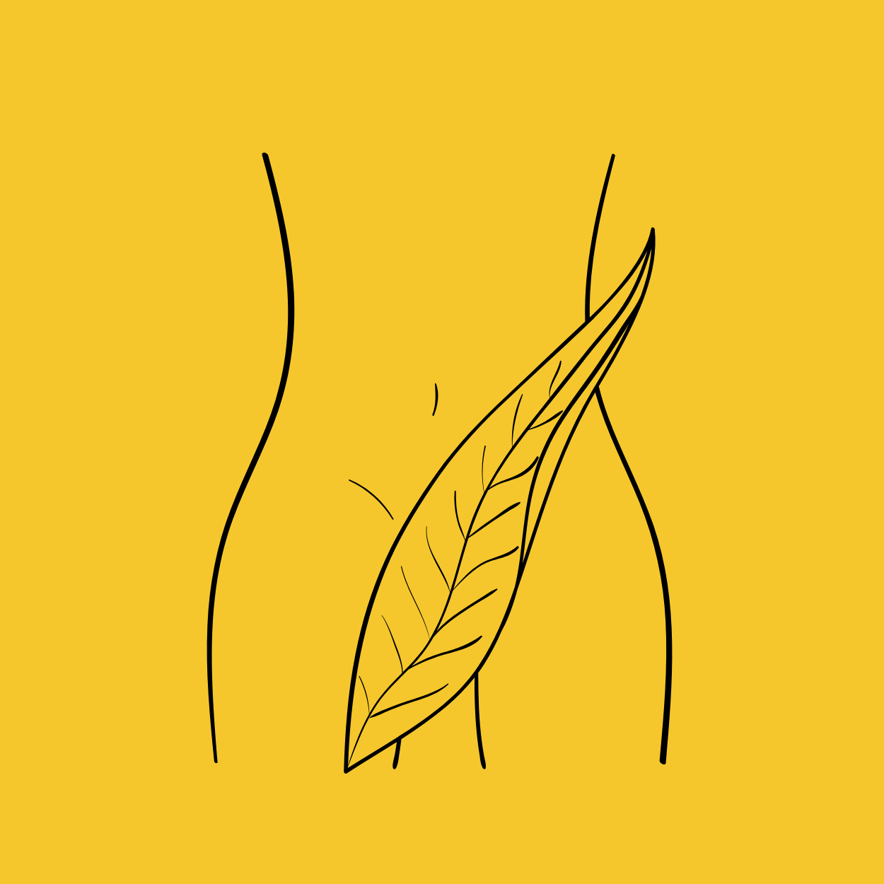 Bikini & Brazilian Wax