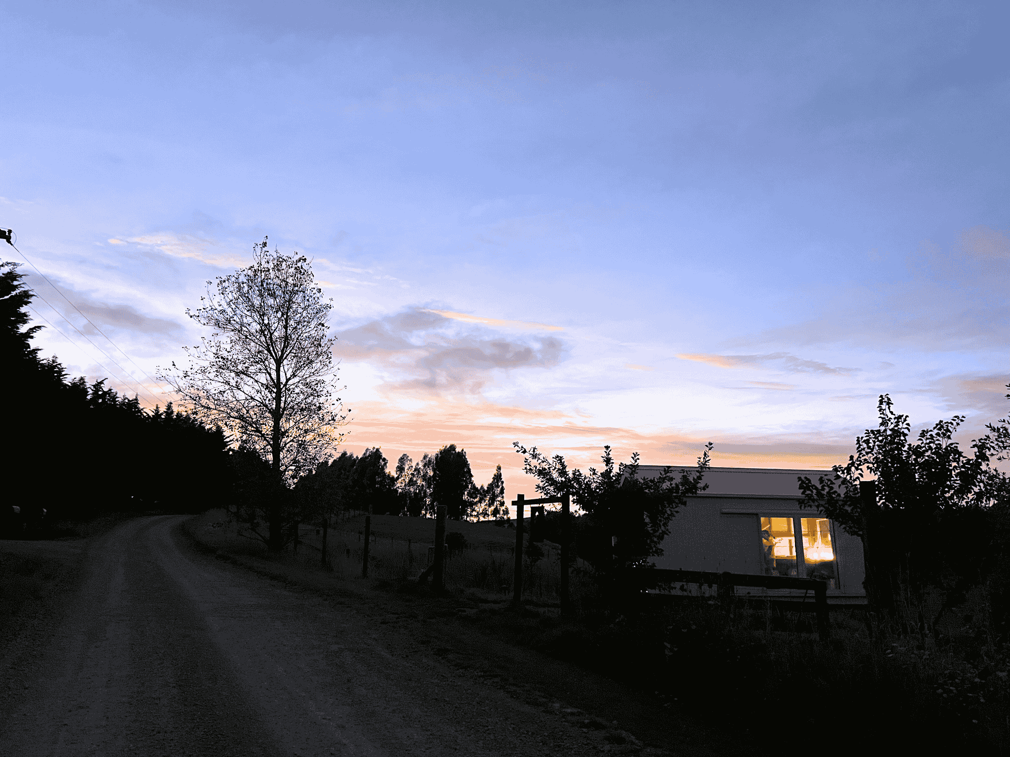 Working flower shed at dawn