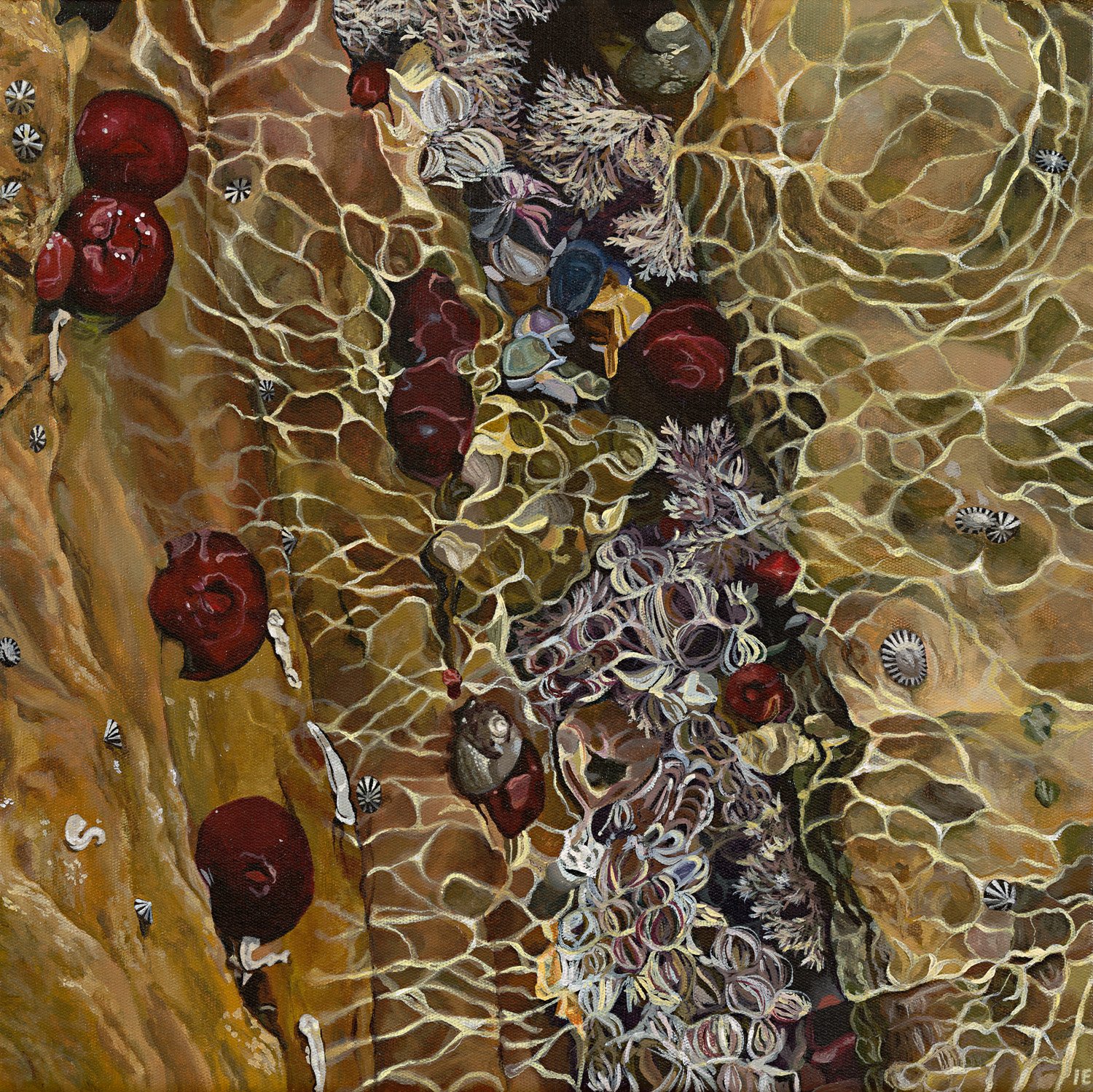 Maria Island_Pixel Pro_WEB.jpg