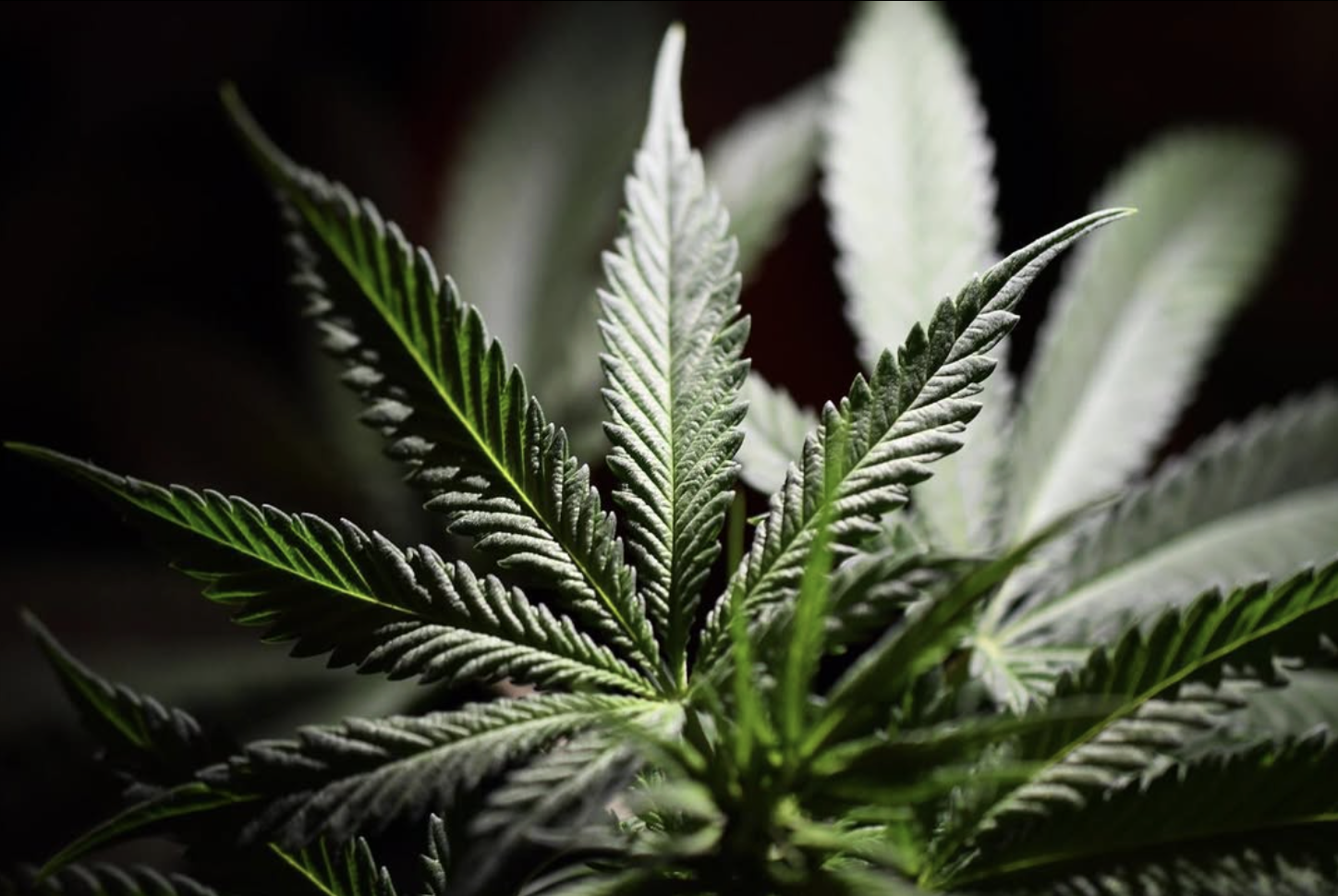 Screenshot 2026-01-29 at 10.53.58 PM.png