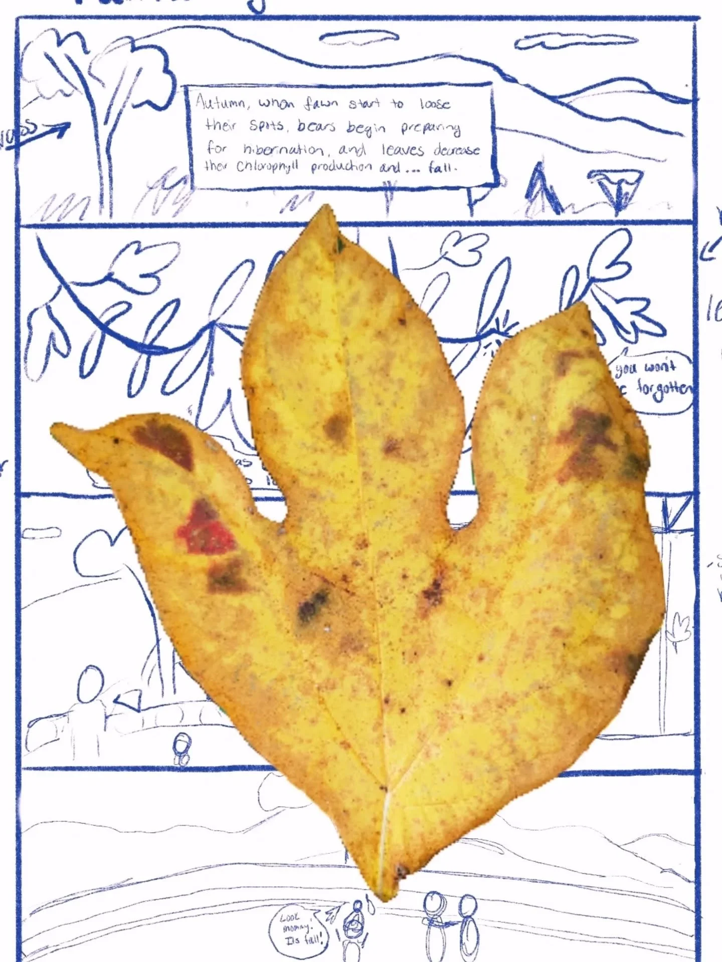 Meet the character of my first comic! 
He's a sassafras leaf and he is going through some big changes. 
I knew I wanted to do a sassafras leaf because I find their shape to be friendly and sweet. 
I hope to have this comic finished this month and I l