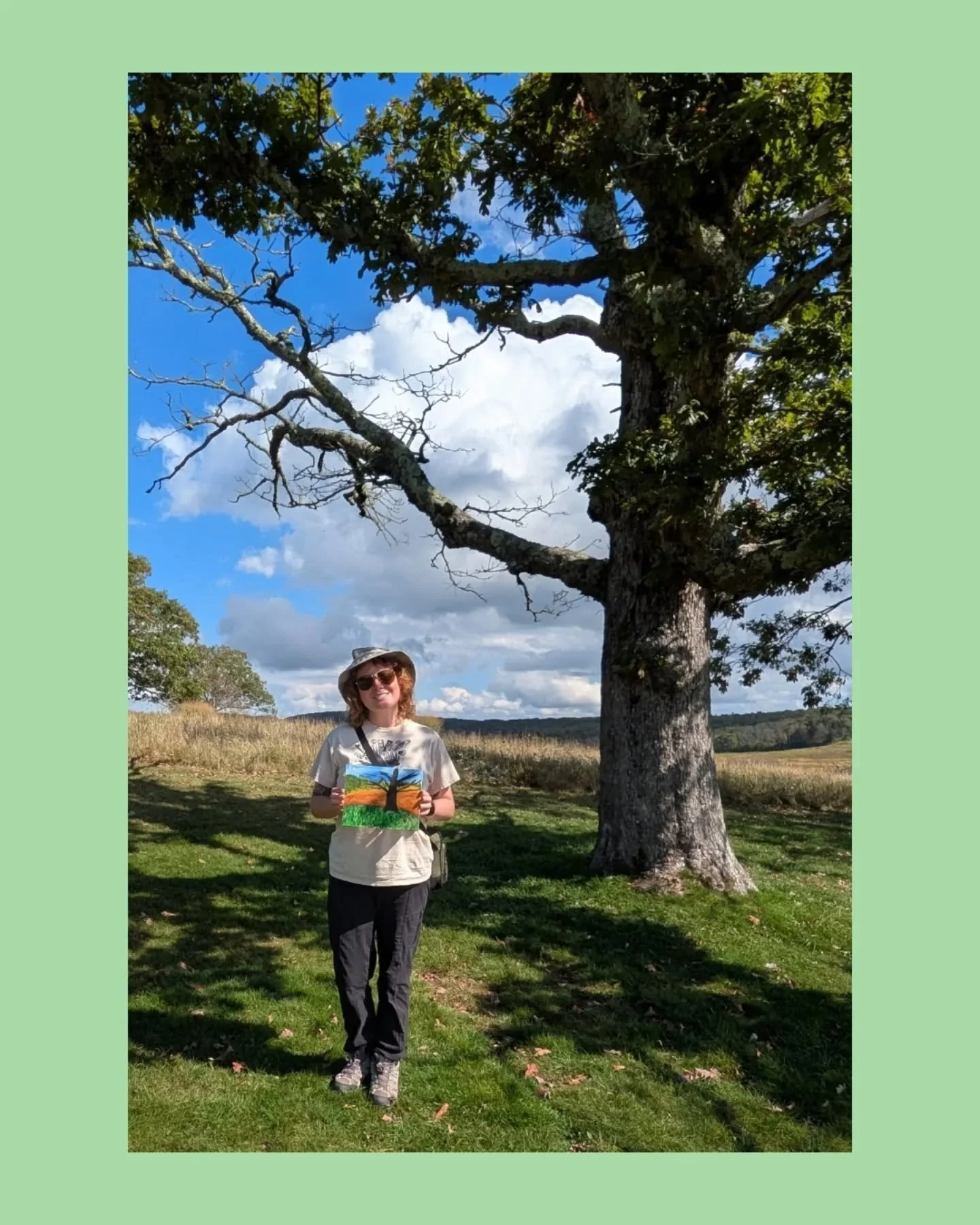 We had so much fun at Art in the Park @shenandoahnps. The weather was perfect and the guest artists were amazing. 
We did a workshop in mindfulness acrylic painting, and Cyanotype with nature. 
Next year I am going to apply to host a workshop with th
