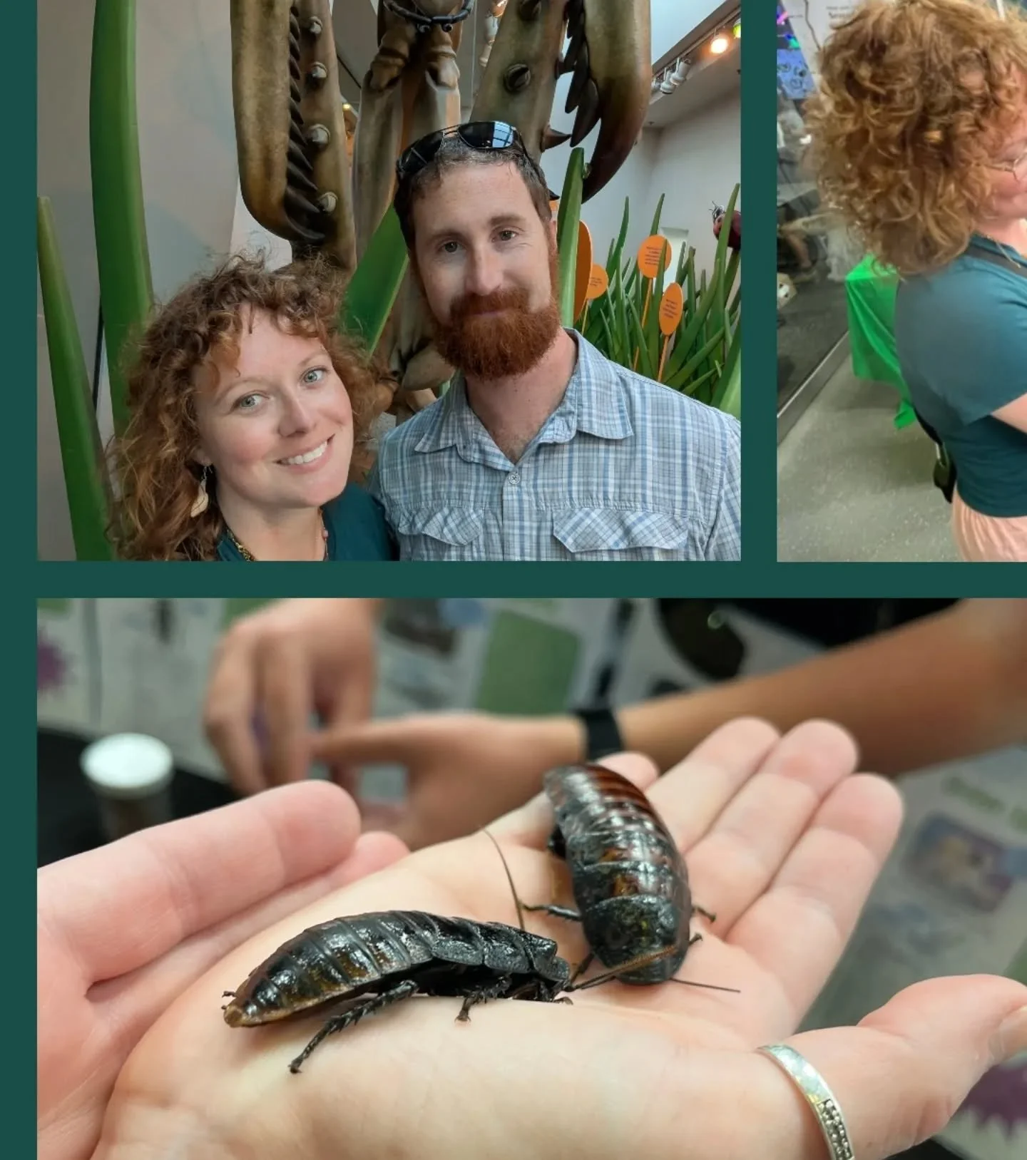 🦗Bugfest 2025 was a total blast! 🐛

Not only did I get to geek out about bugs with like minded people, but I was able to release my inner child and enjoy crafts and activities. I learned about taking care of jumping spiders and I even ate a mealwor