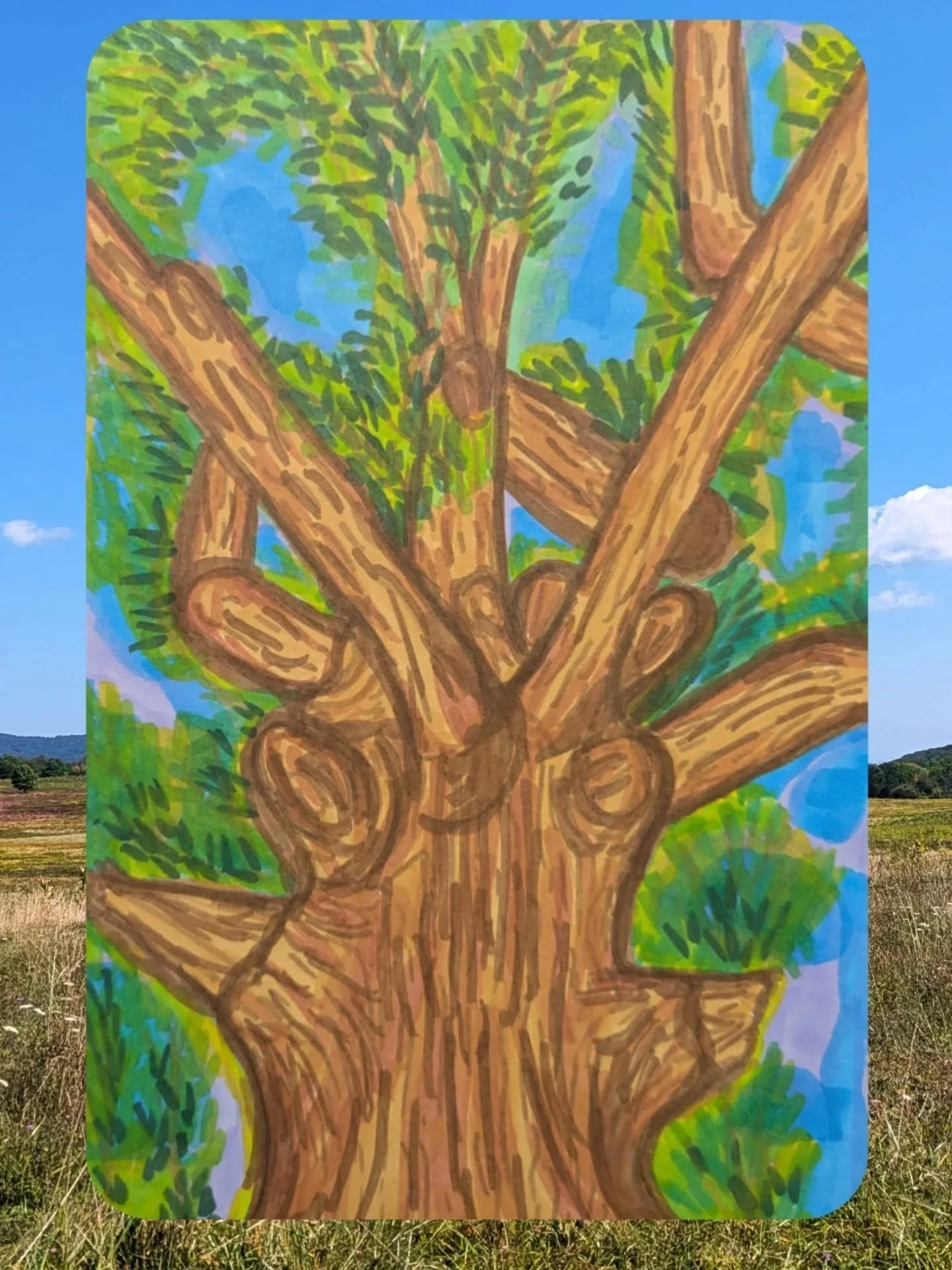 While working with the Wildlife team in Shenandoah yesterday, I was introduced to this GIANT Tulip Poplar Tree. This beauty is the biggest poplar I've ever seen. It was important to me to sketch this sucker out in marker to capture all the cool textu
