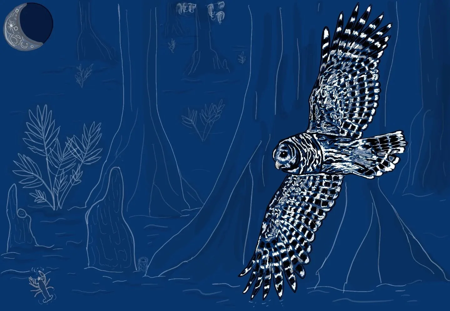 &quot;Silent Flight&quot; - Digital Illustration 2025
It's pretty obvious that Barred Owls are my favorite raptor. 
This piece was inspired by the &quot;Owl Prowl&quot; ranger hikes I led through the floodplain of @congareenps for three summers. 
Dur