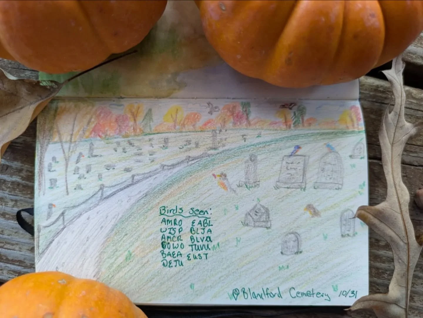 🪦Happy Halloween! 🎃
I spent this morning birding, doing art, and making stamps in a cemetery. 
It was lovely to see all the life among the afterlife. Graveyards and Cemeteries were originally created as park like areas where folks could picnic and 