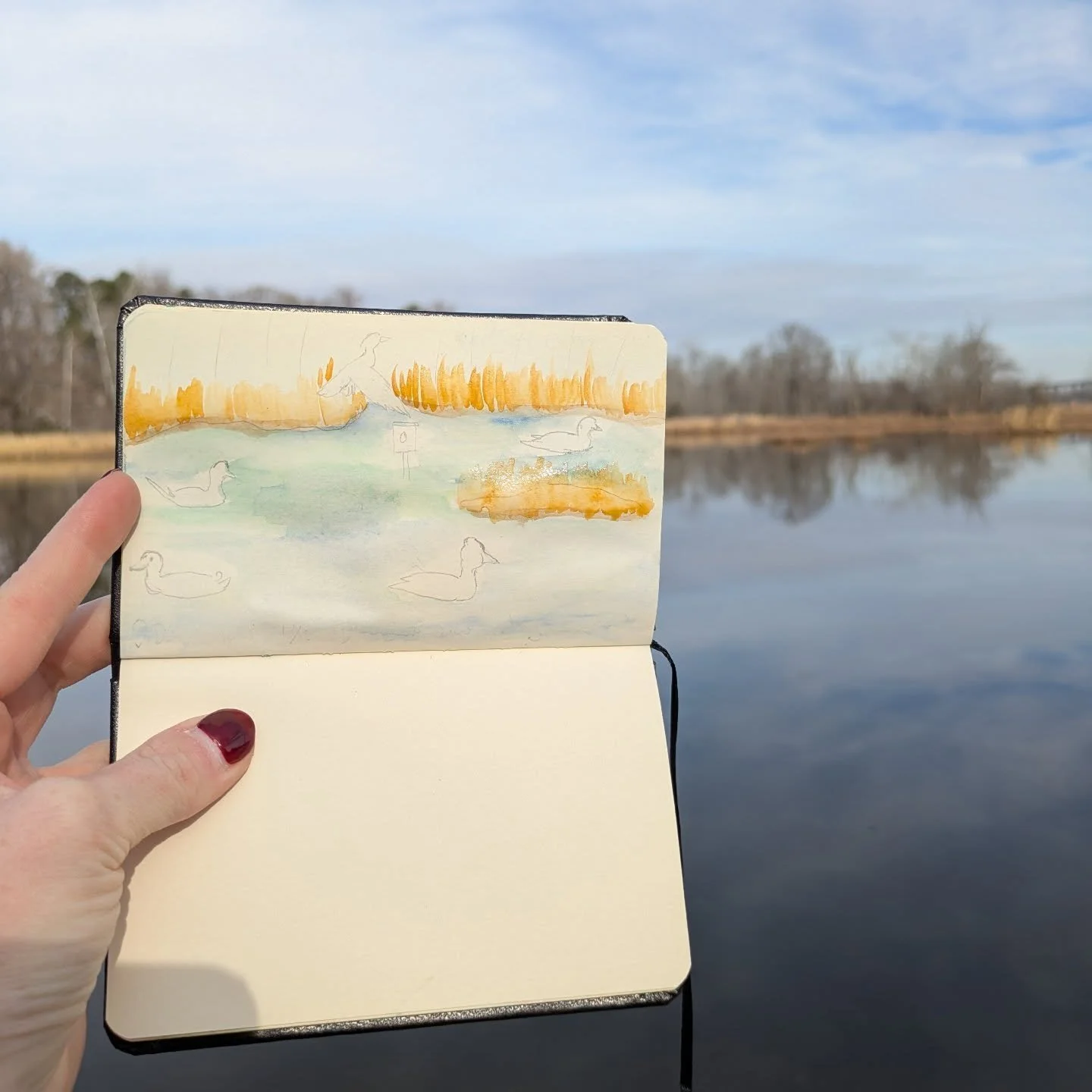 ❄️Winter Nature Journaling❄️
I love playing with watercolors in my nature journal. Using a medium that needs time to dry allows me to take a break and just be. 
This photo was taken during one of those breaks. 
🦆Can you guess what duck species I'm g