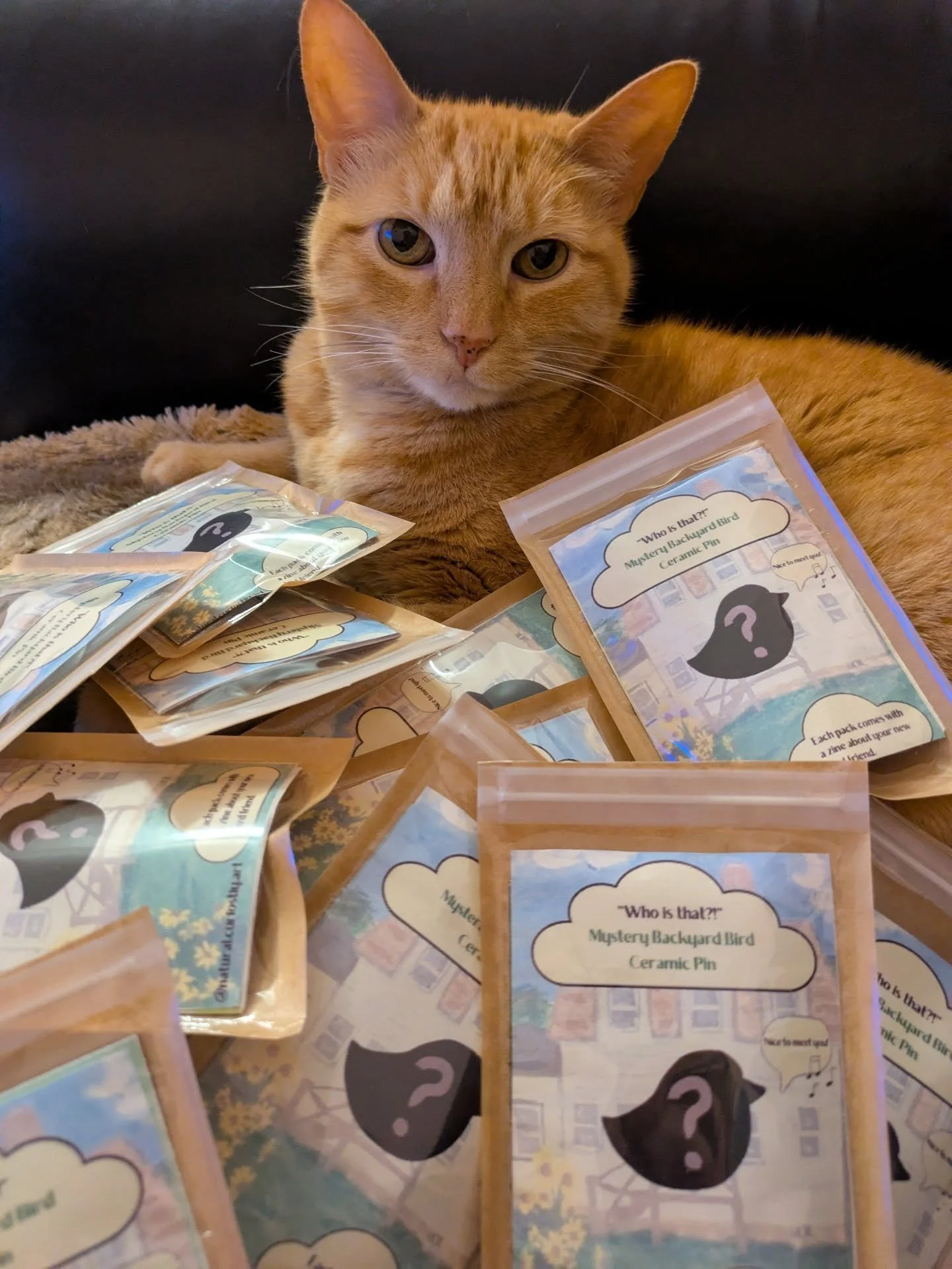 Leeloo is here to announce that my song bird pins will be in @heydiscobunny vending machine @scrap_rva starting in March. 
I am so excited to see these cuties in the machine and I hope you love them as much as I do! 
Let me know what bird you get! 
.