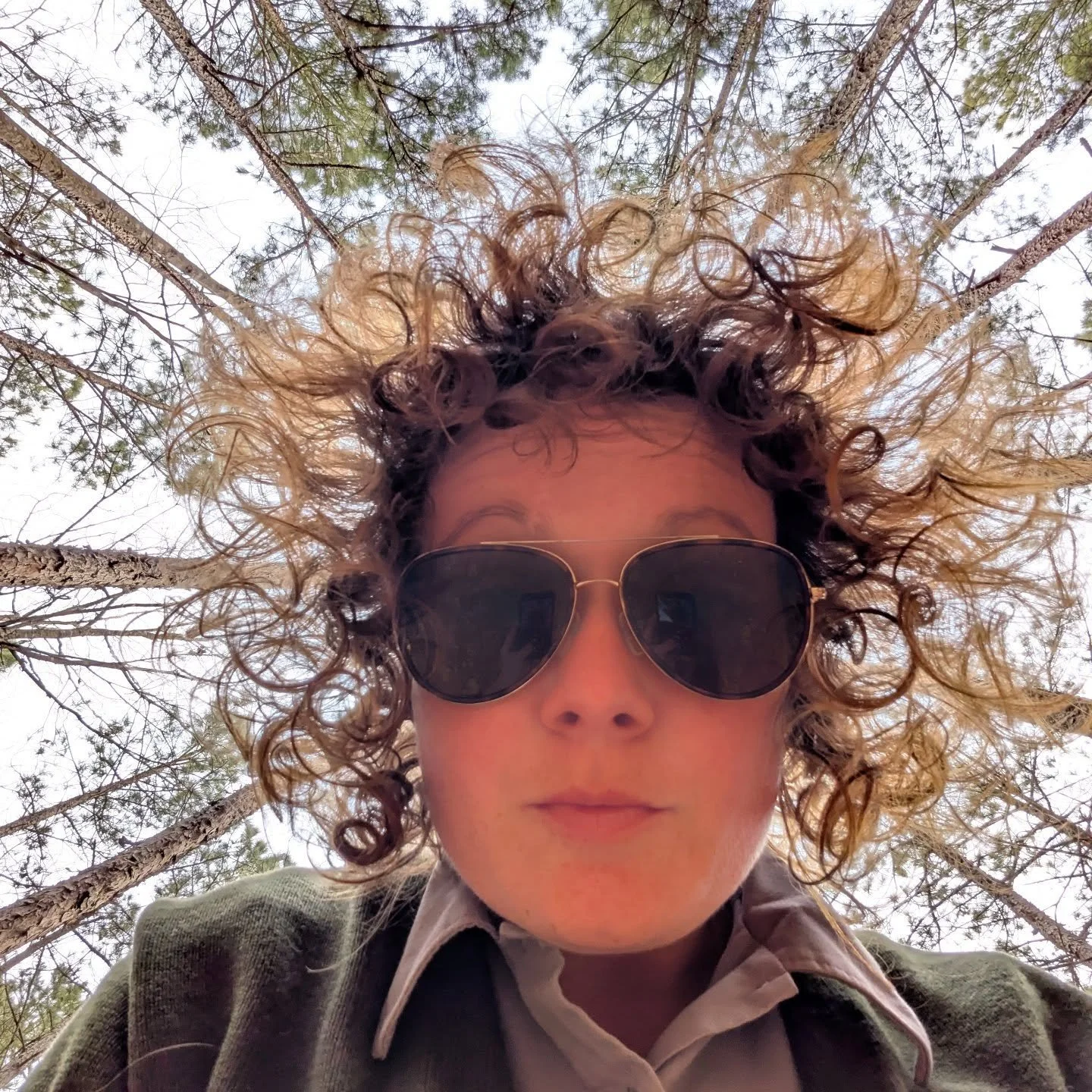 🌲Sometimes you just have to fill in a pine canopy with your hair.🌲
...
#nationalparkranger #rangerlife #pineforest