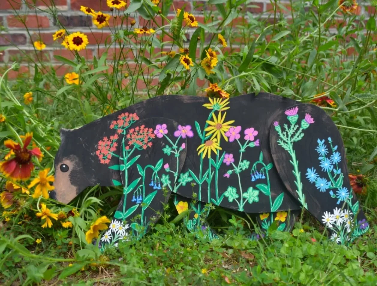 It's my favorite time of year in Virginia! Black Bear and Wildflower season! 
While out on hikes don't forget to look down- I bet you will find some beautiful blooms.
If you are visiting or live in bear country make sure you are securing your trash a