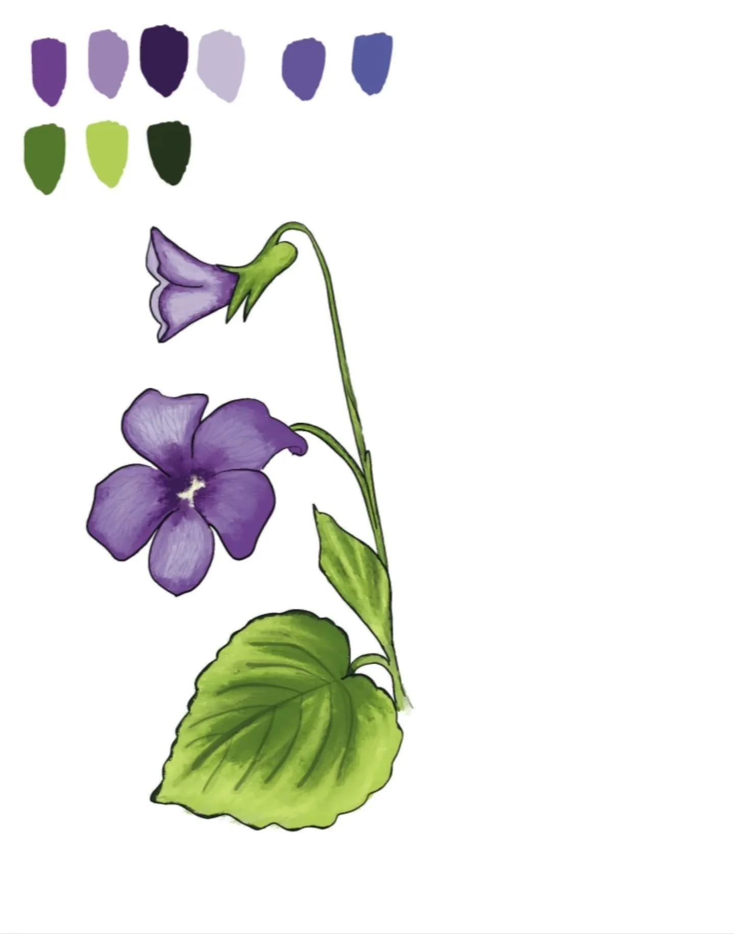 Working on three wildflower illustrations for @oli.oddity first newsletter release! 
Stay tuned for some fun flower news.