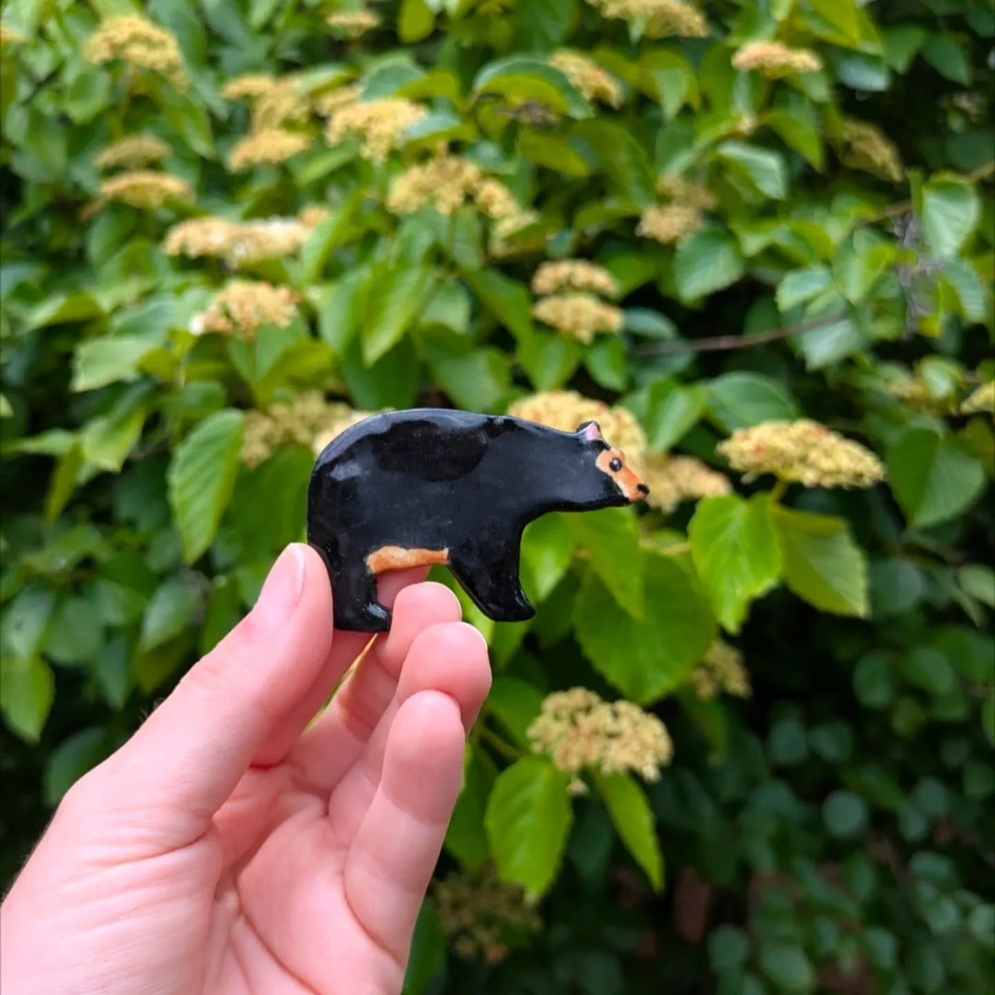 Have I been hyper focused on black bears lately because I get to work my dream job as a wildlife biologist in Shenandoah in ONE MONTH?!
Maybe....but who doesn't love a cute black bear pin to go on a purse or a jean jacket? 
...
#ceramics #blackbear #