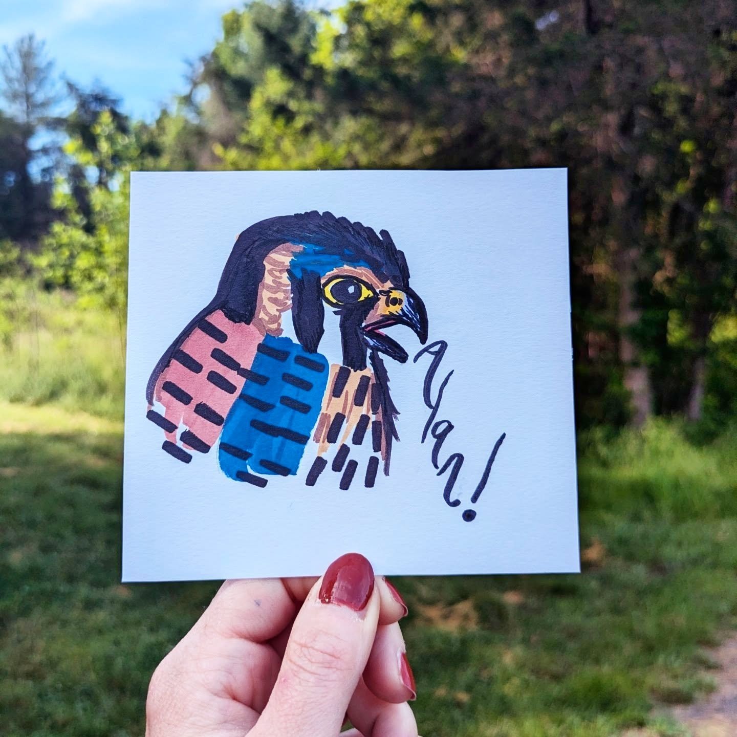 When you need a fun way to tell your supervisor thank you for taking you to band Kestrels. 
I know these Kestrels won't think of me ever again, but I will always treasure them. 
Nature magic is real, you just have to believe in it. 
...
#americankest
