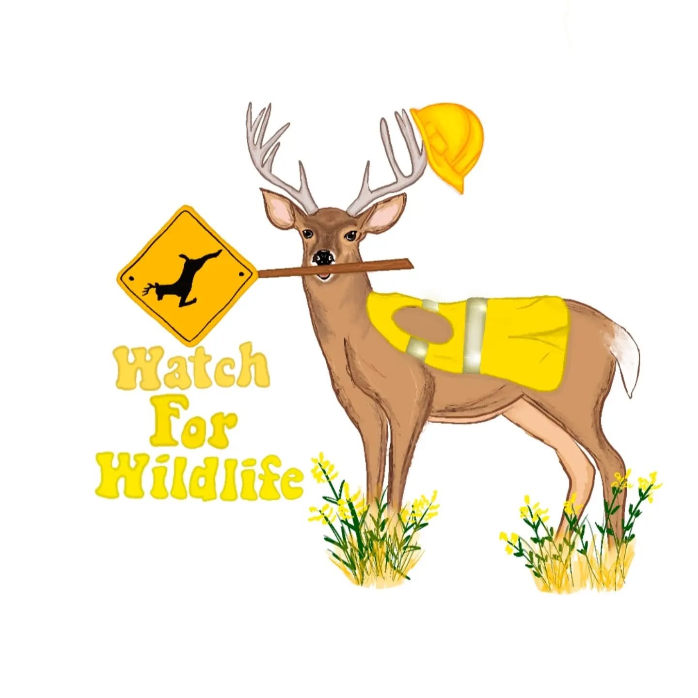 🦌Rutting season is coming soon! 🍁
Fall is mating season for deer, moose and elk. Males will have a huge spike in testosterone which causes them to chase and fight over females. 
Drivers- be on the lookout for deer running across the roads. 
Hikers-