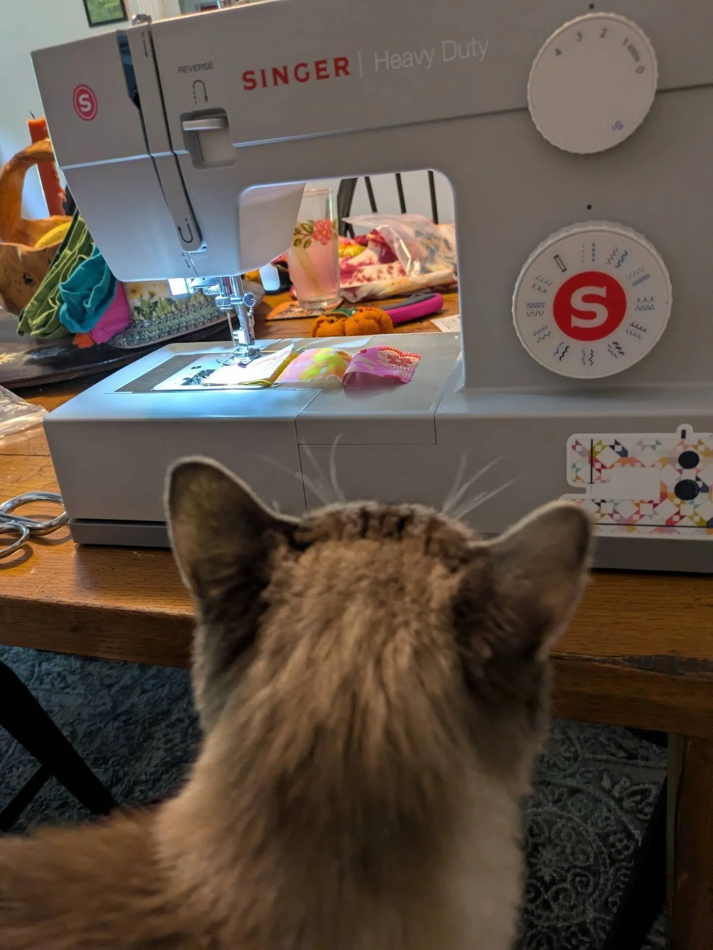 Ravi loves when I sew- a comfy place to nap and something to watch. 
I've been enjoying learning to quilt and it's the perfect fall/winter hobby. 
...
Things I'm working on: coasters, tiny zipper bags, placemats. 
🪡 Fabric by- @rubystarsociety 
....