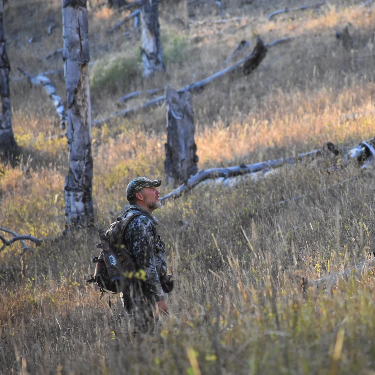 Hunter standing in a mountain meadow