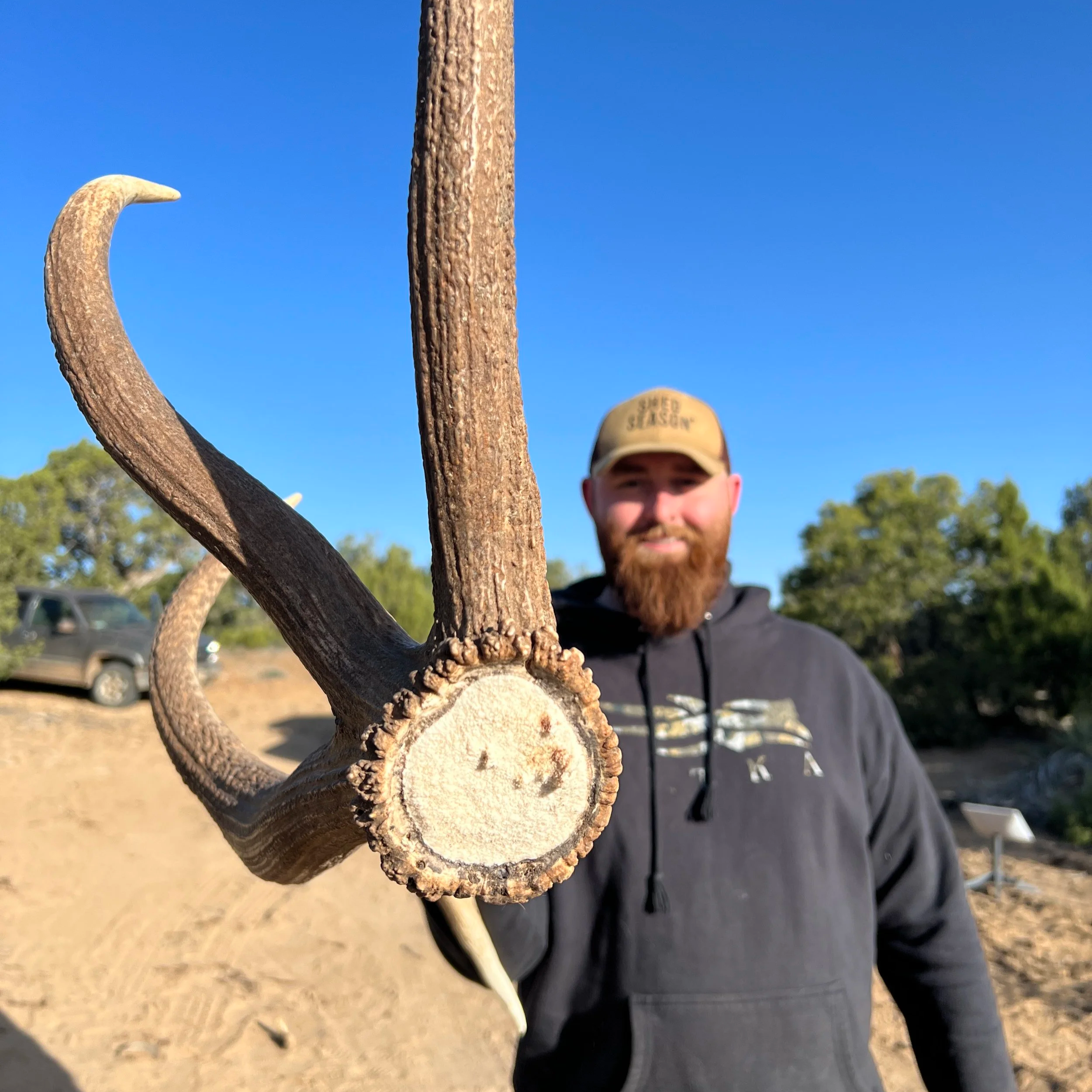 Person holding a large antler in an outdoor setting with trees and a vehicle in the background on a sunny day.