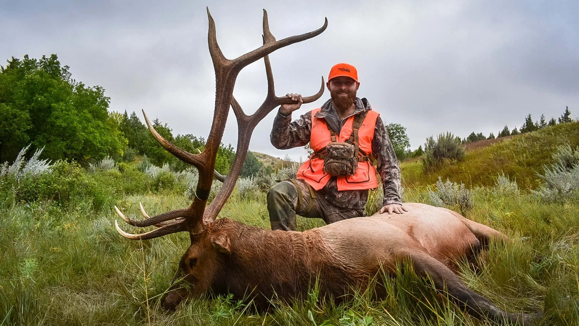 How to go elk hunting for $1500