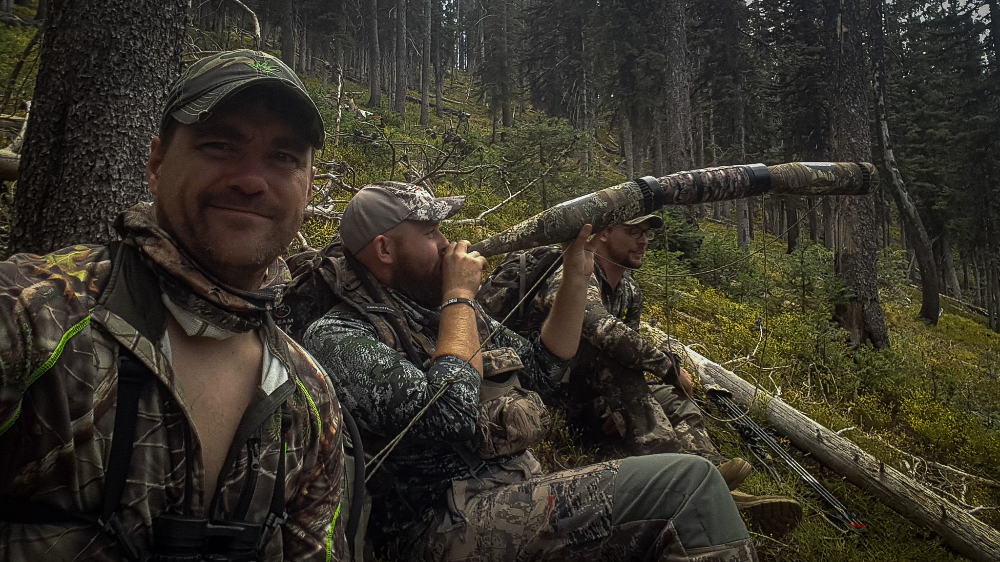 Best Elk Calls For Beginners