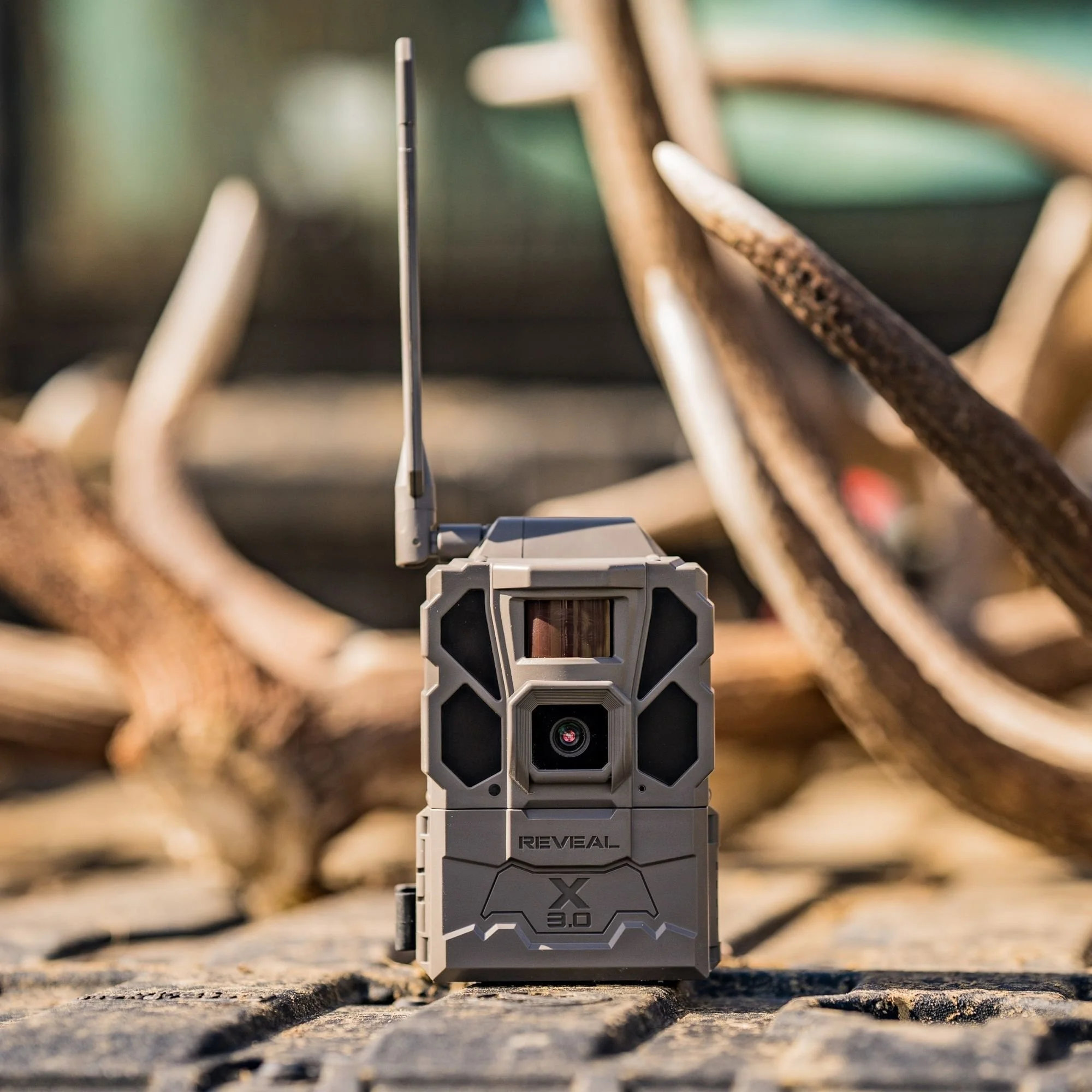 Tactacam Reveal 3.0 on Tailgate with elk antlers in background