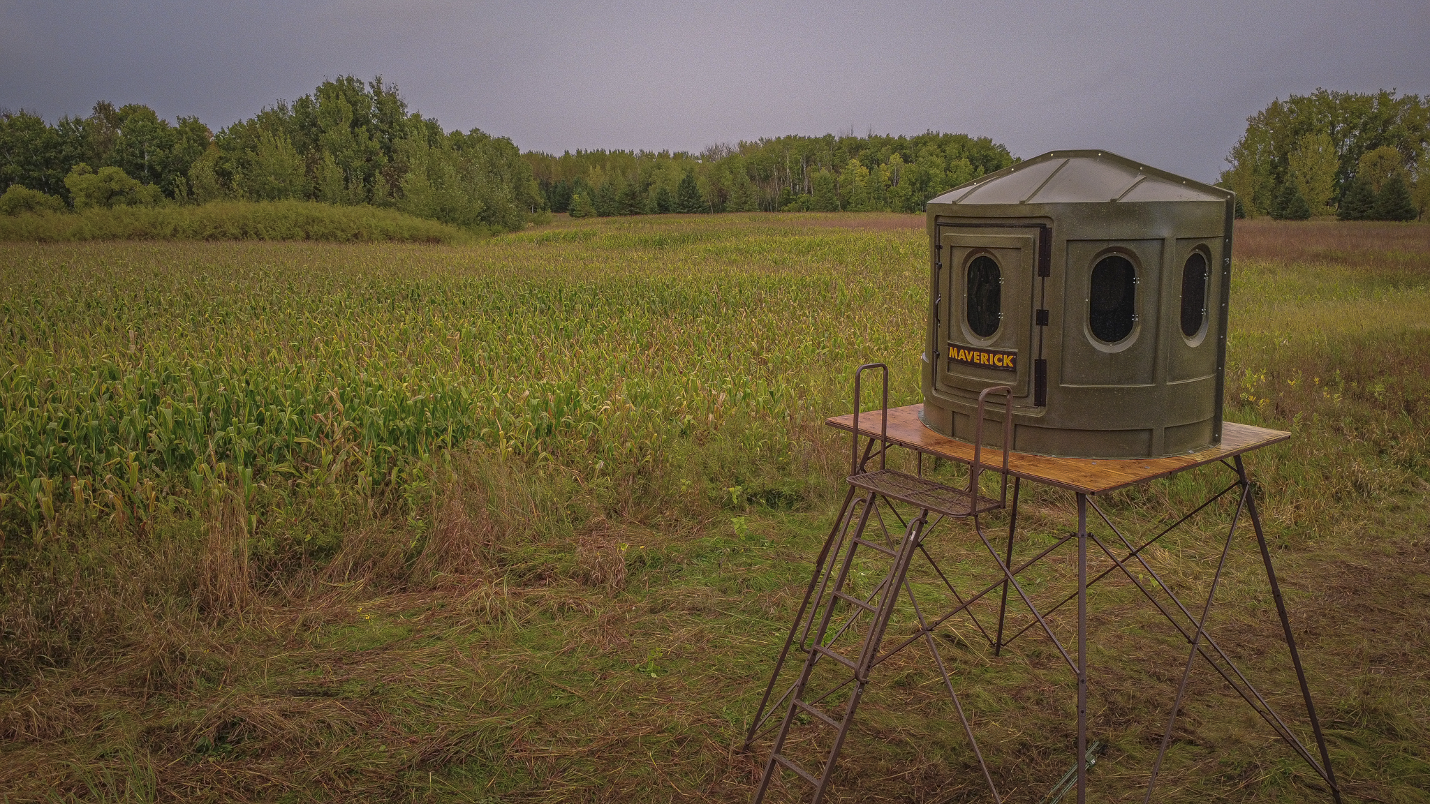 A Maverick XL Hunting Blind set up on an Elevate10 Platform in a field of tall grass near a cornfield, with a tree line in the background under an overcast sky.