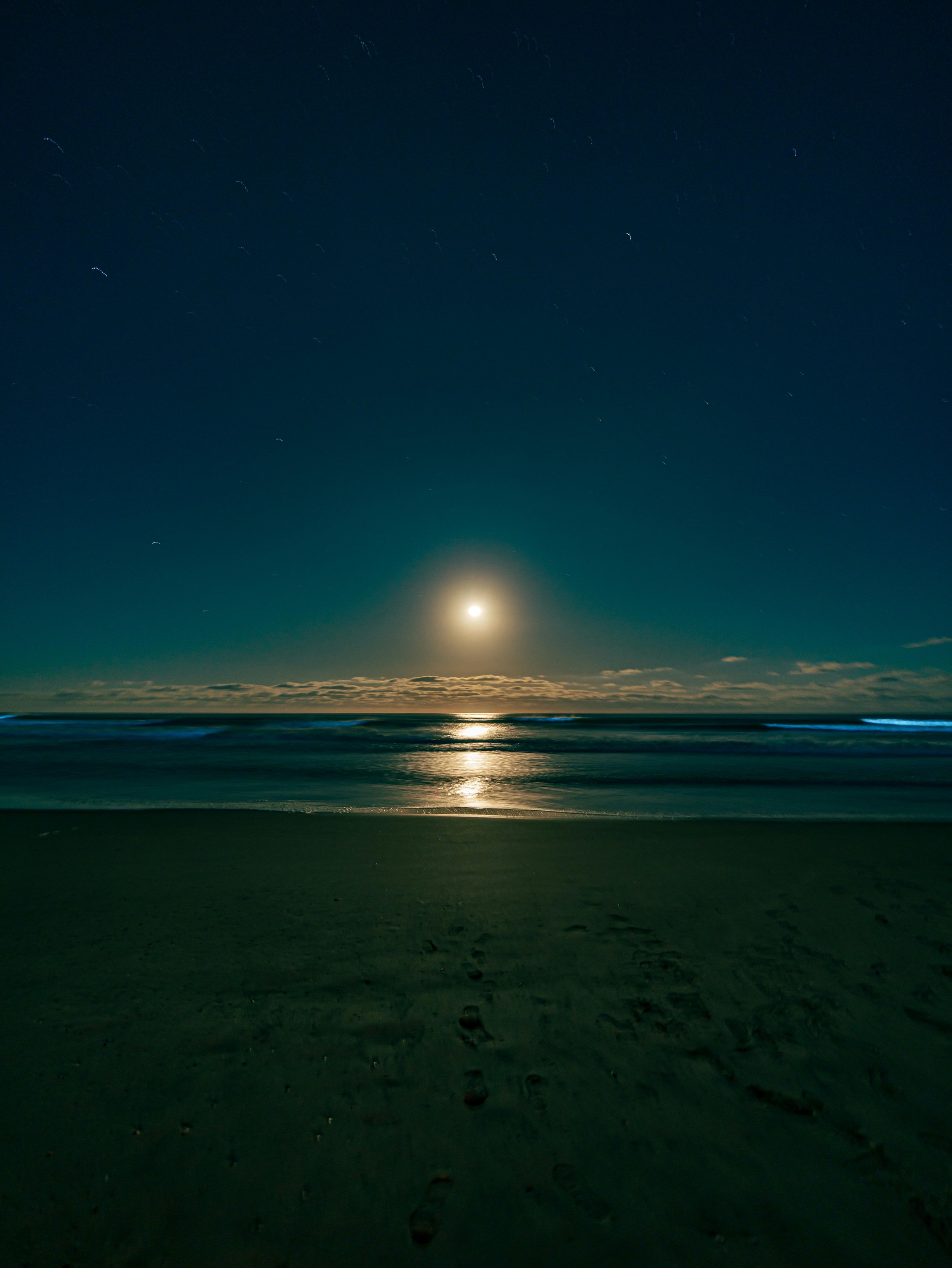 Summer Nights