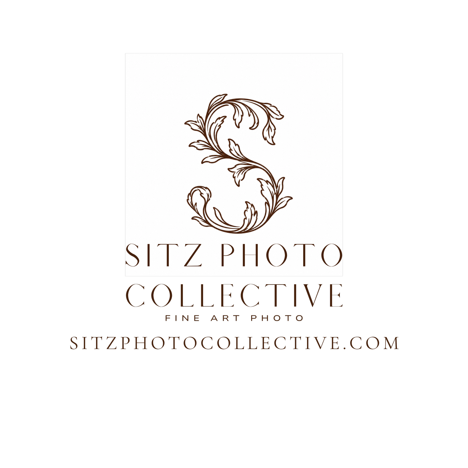 Sitz Photo Collective