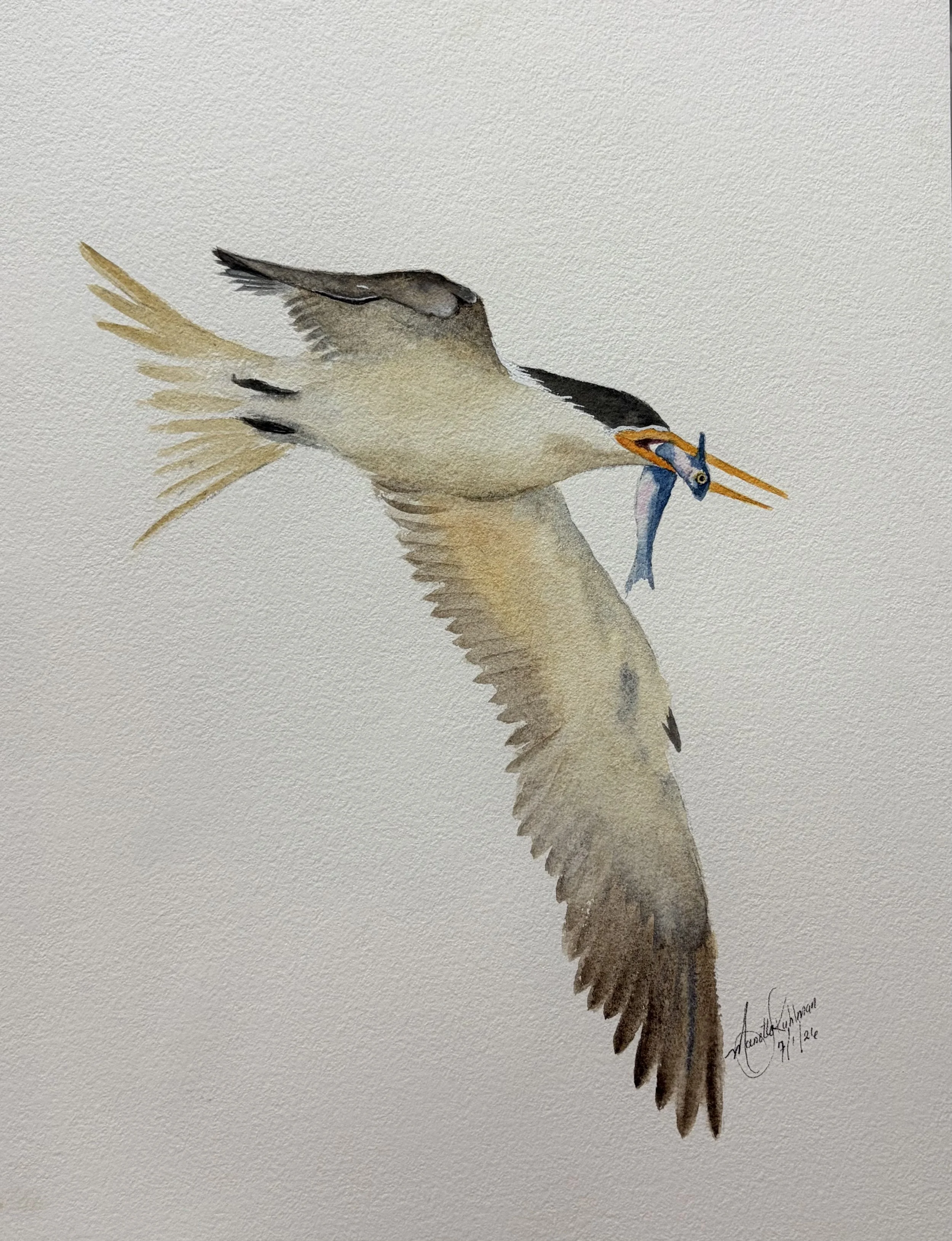 "Wings and Wishes" – Original Royal Tern Watercolor Painting