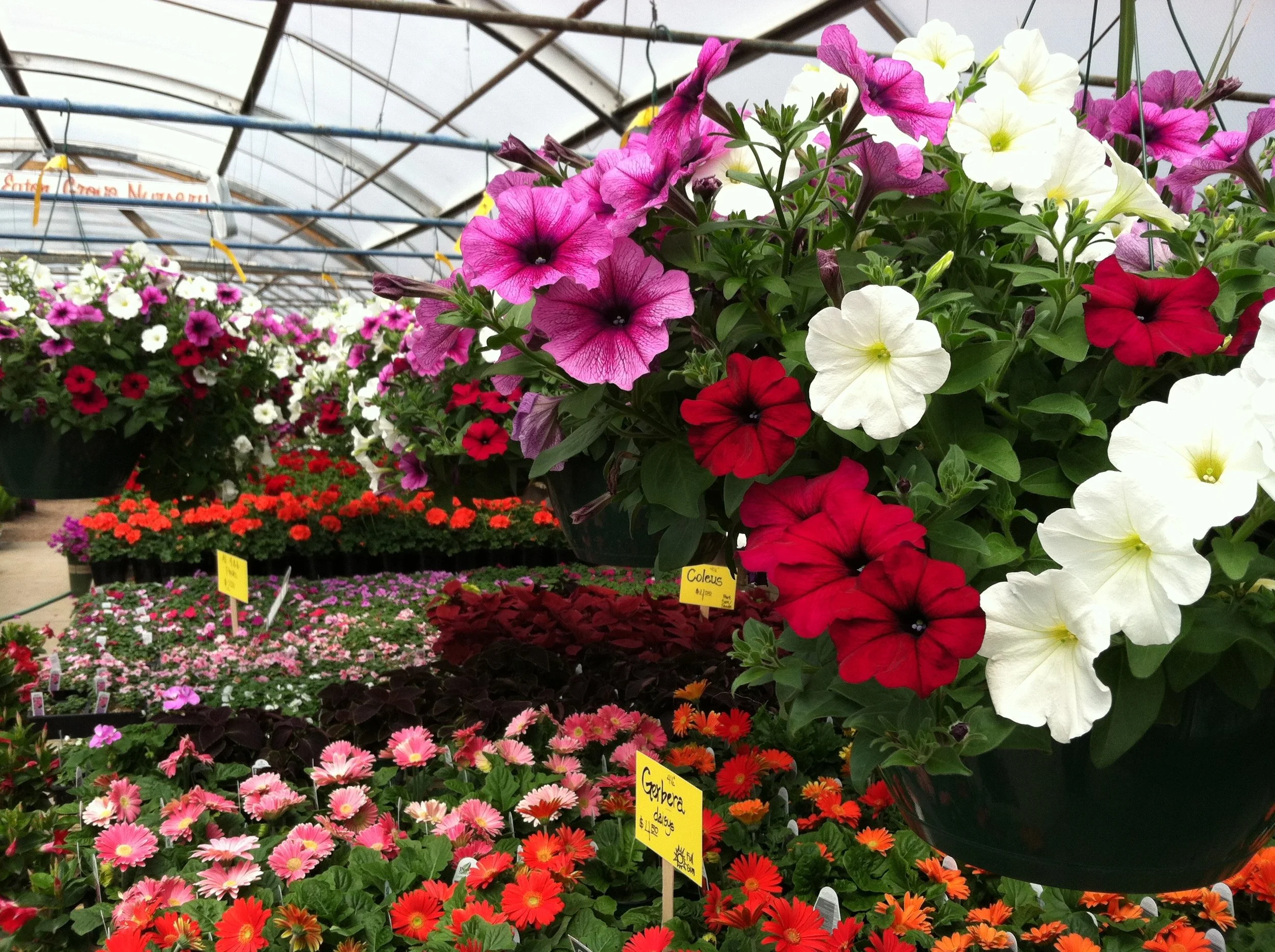 General 2 — Eaton Grove Nursery