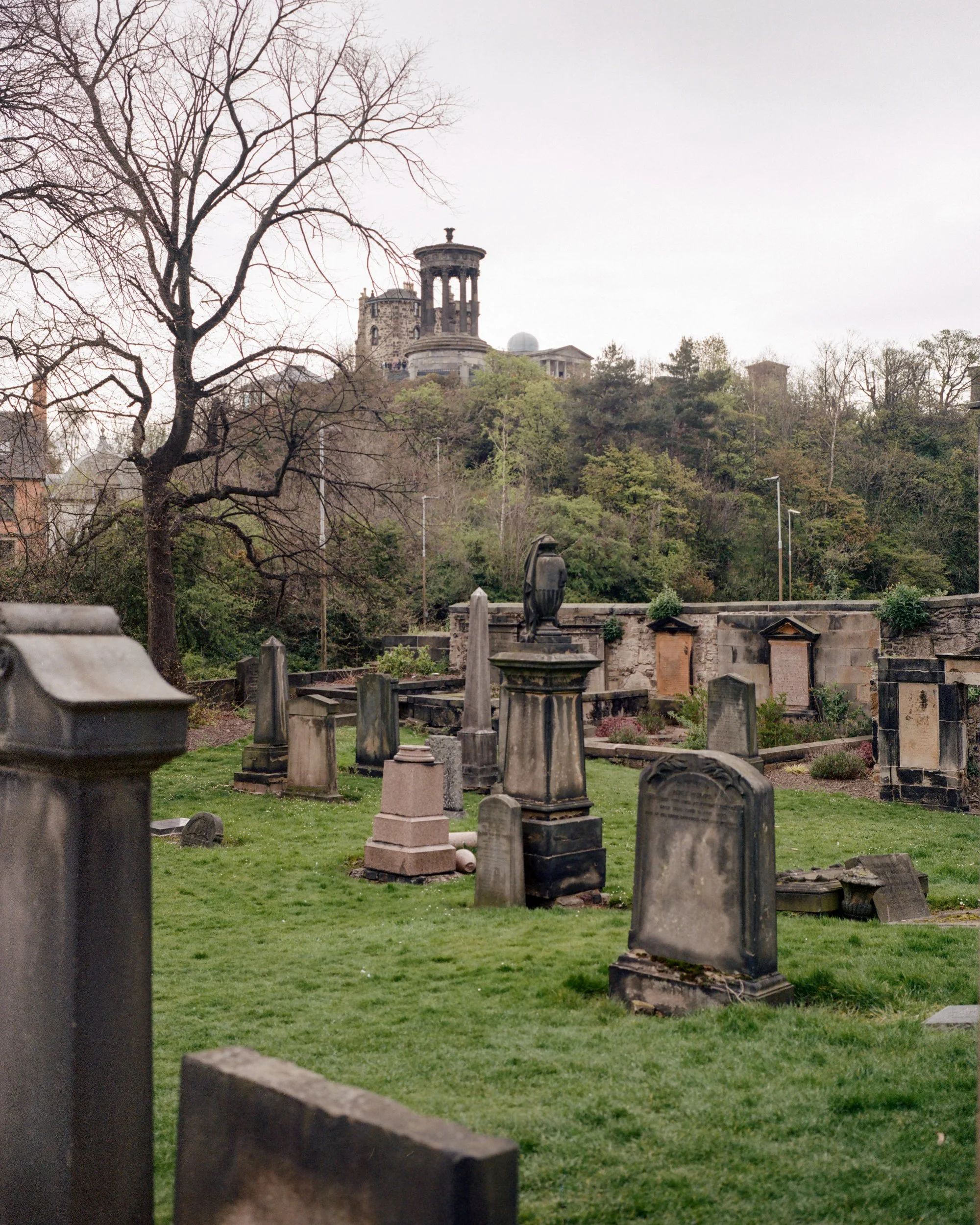 264454060009 copy.jpg