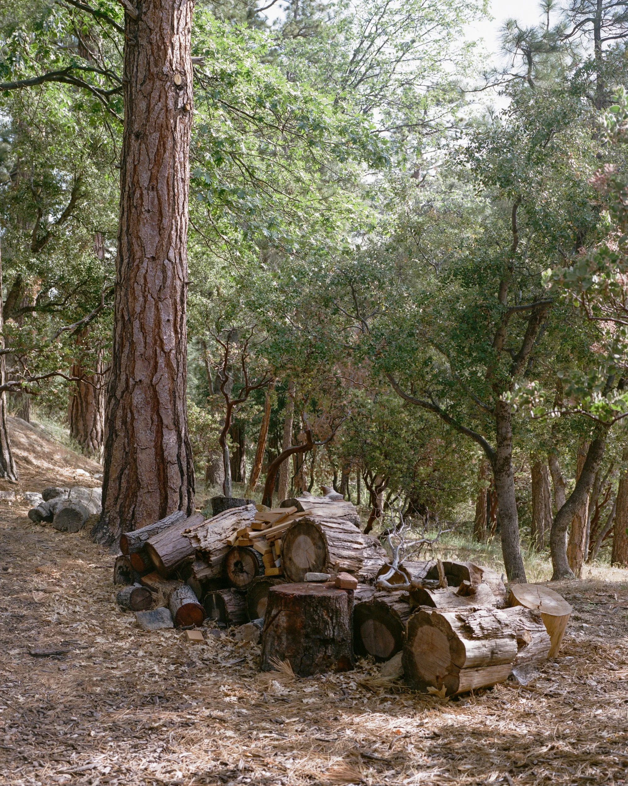 Idyllwild-Pine Cove, California