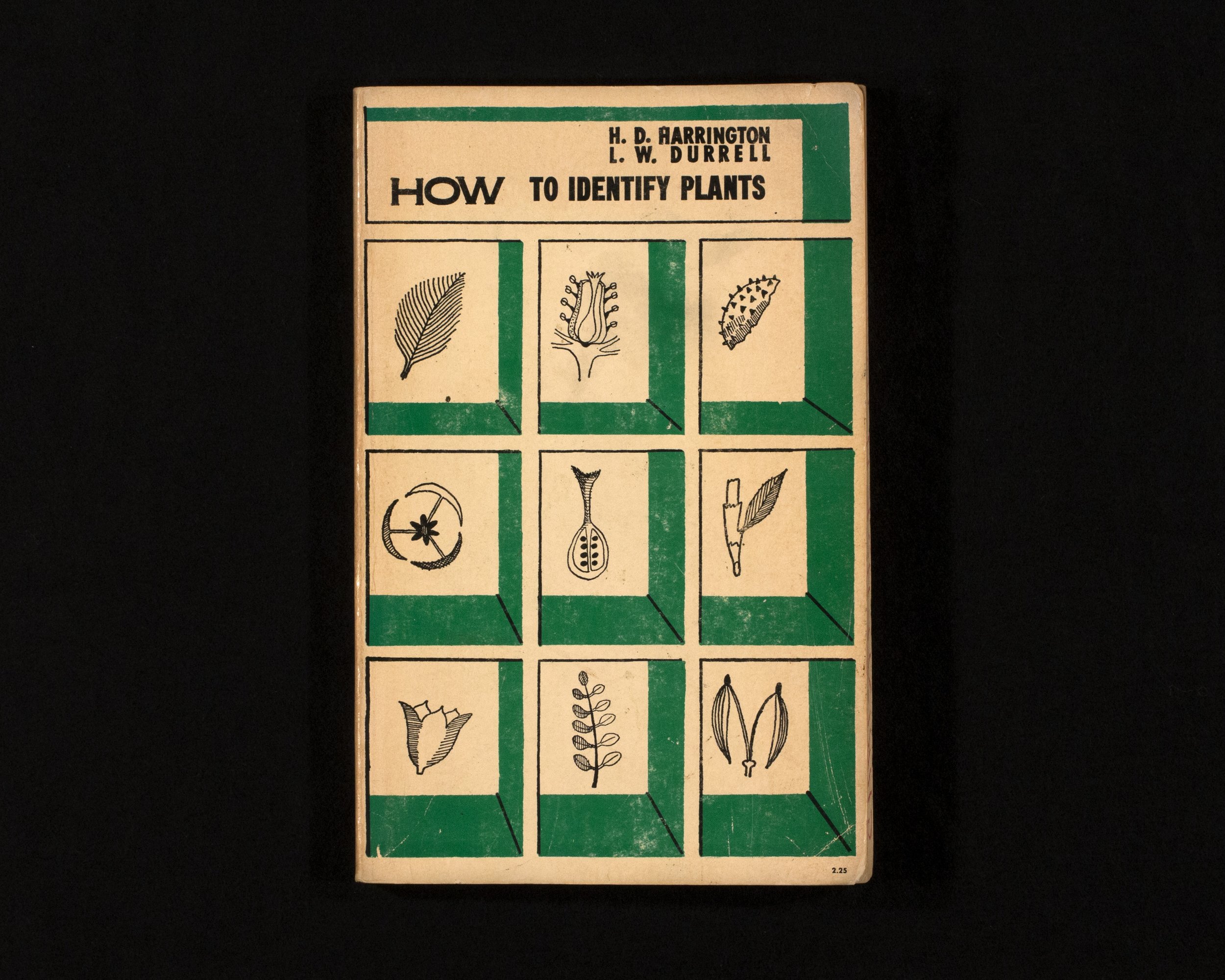 plants.jpg