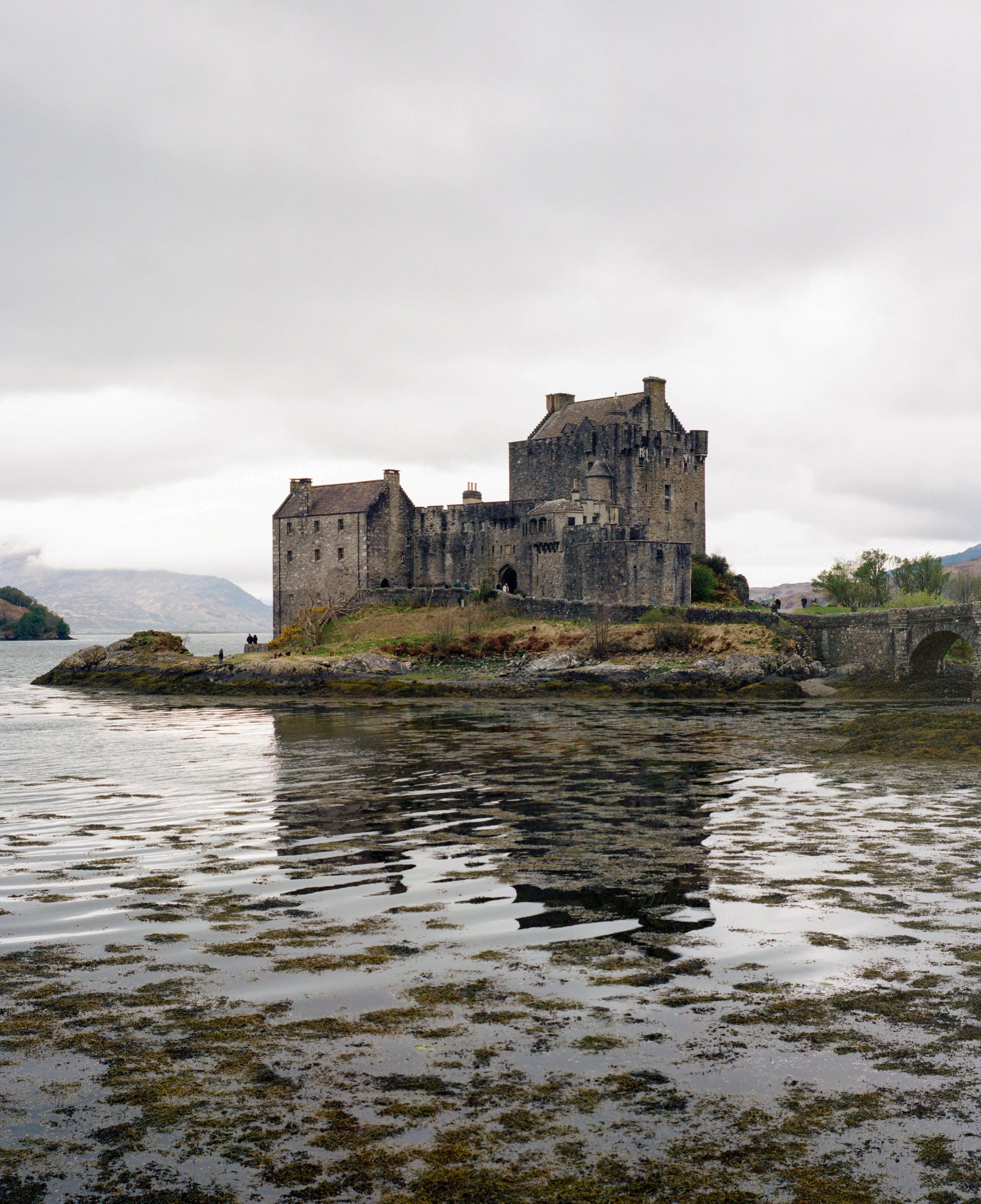 264454010005 copy 2.jpg