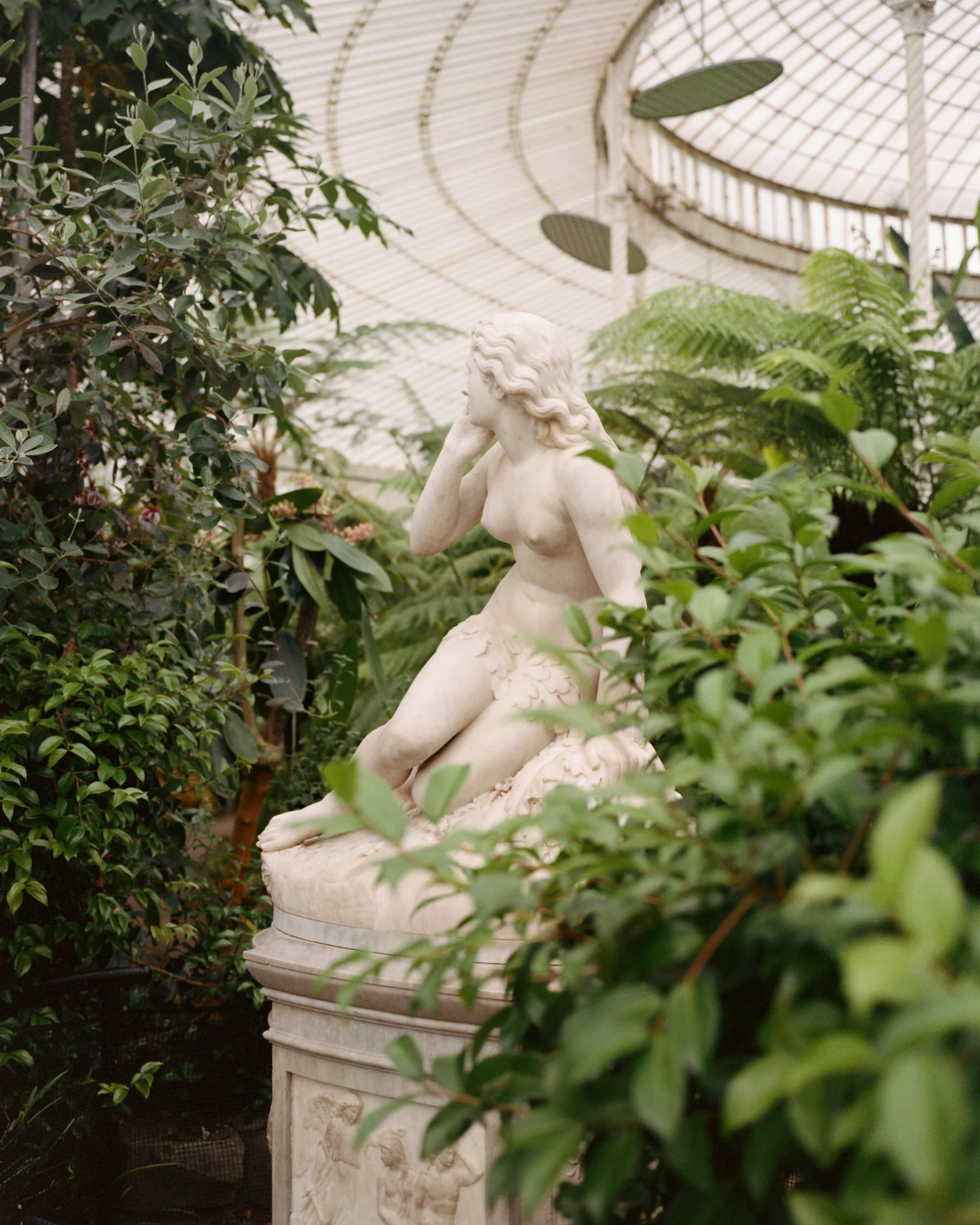 264454050002 copy.jpg