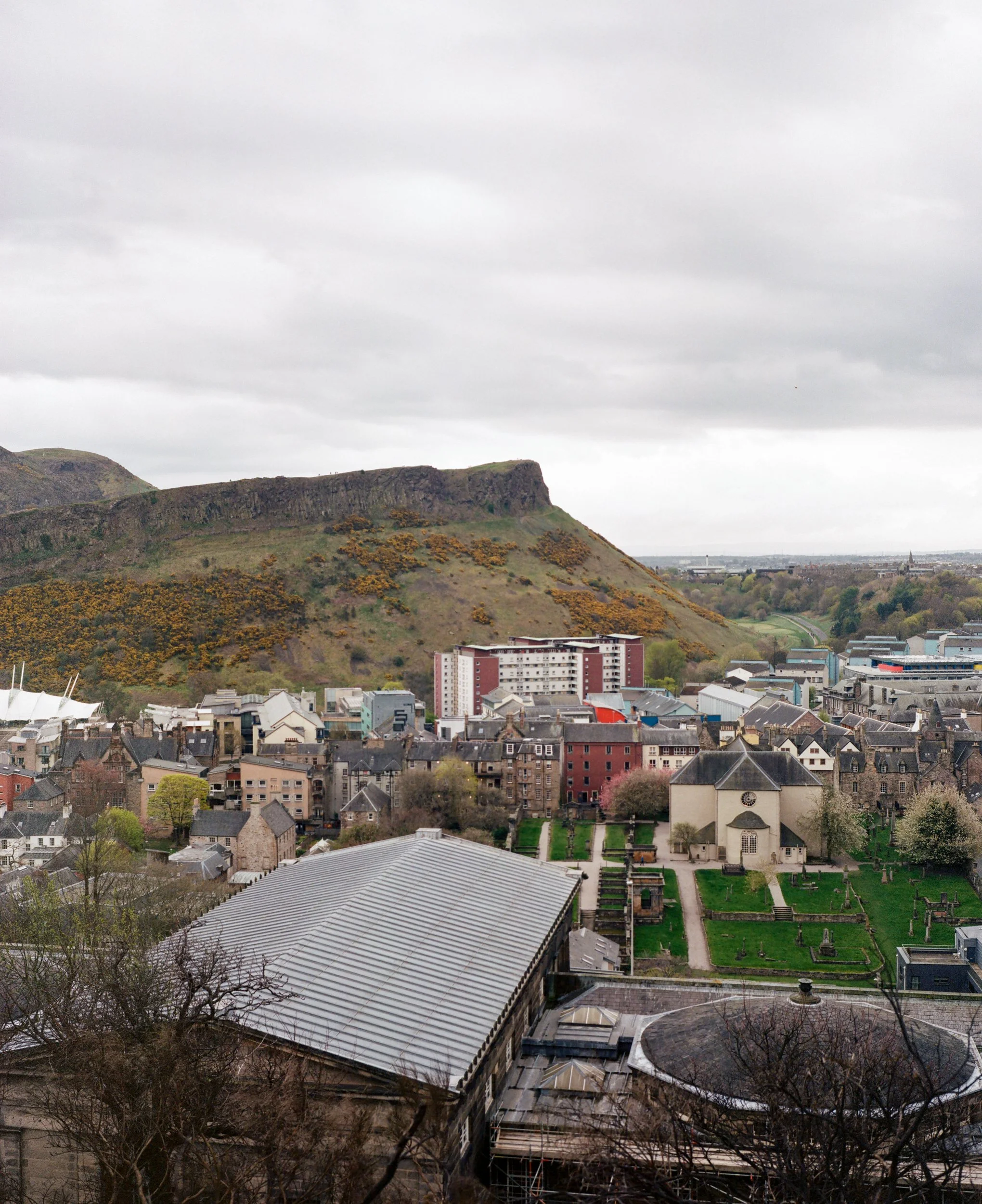 264454060003 copy.jpg