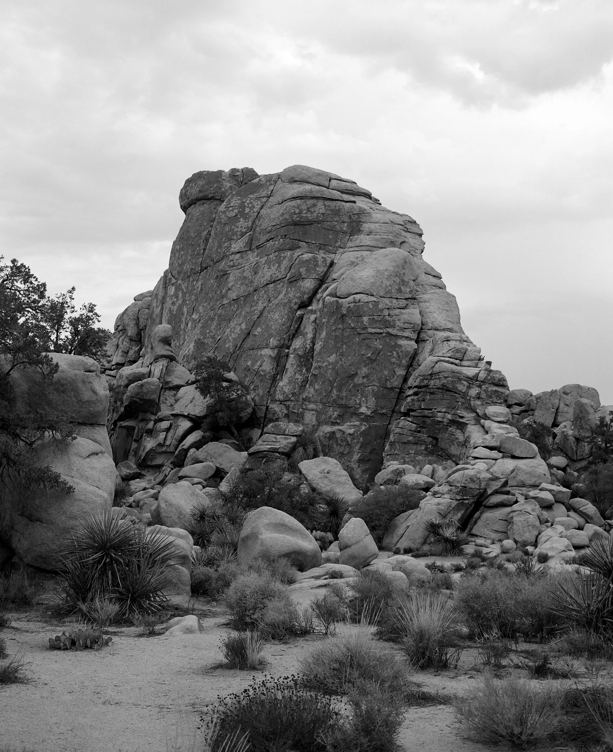 Joshua Tree National Park, California