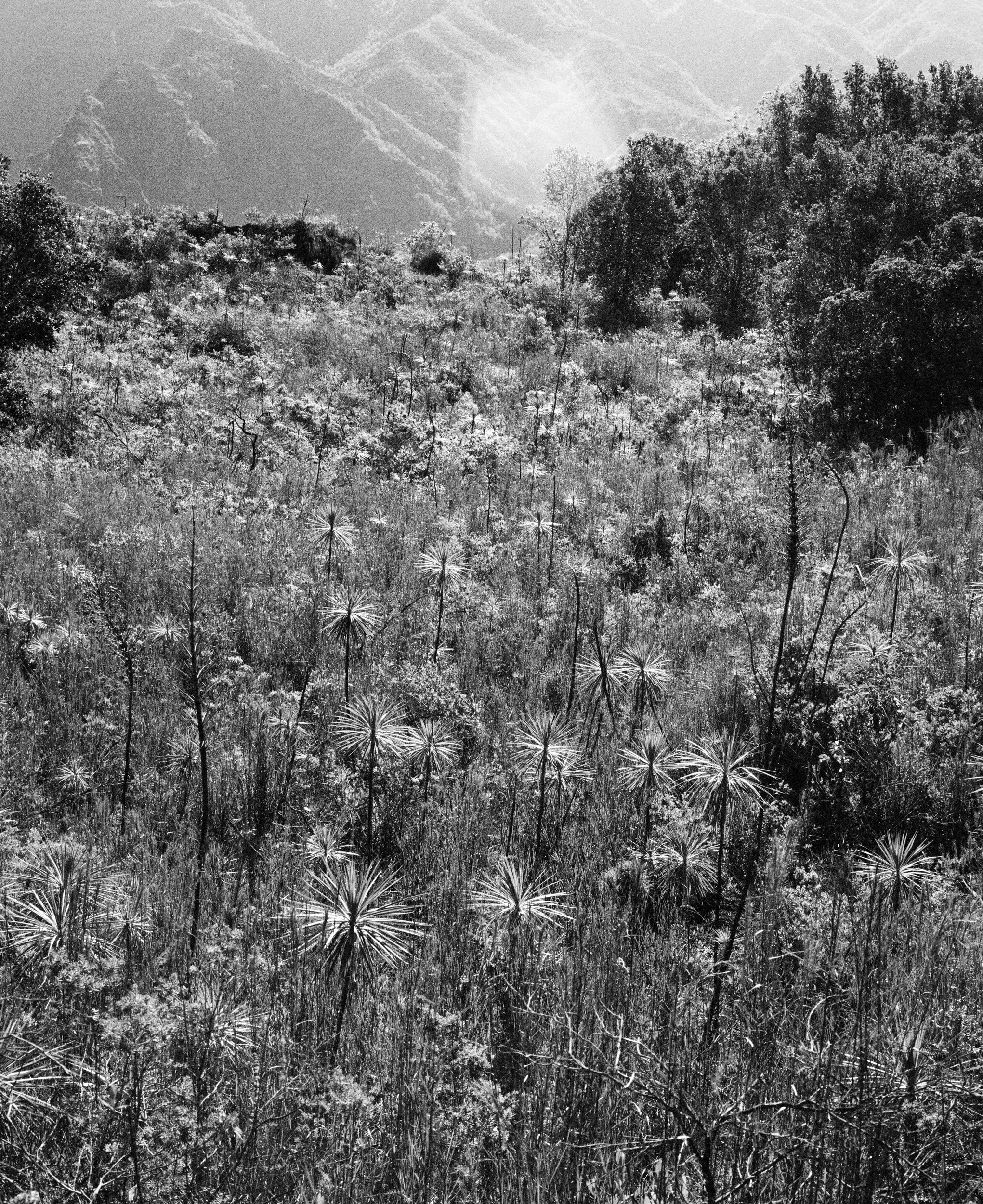 Waimea Canyon, Kauai, Hawaii