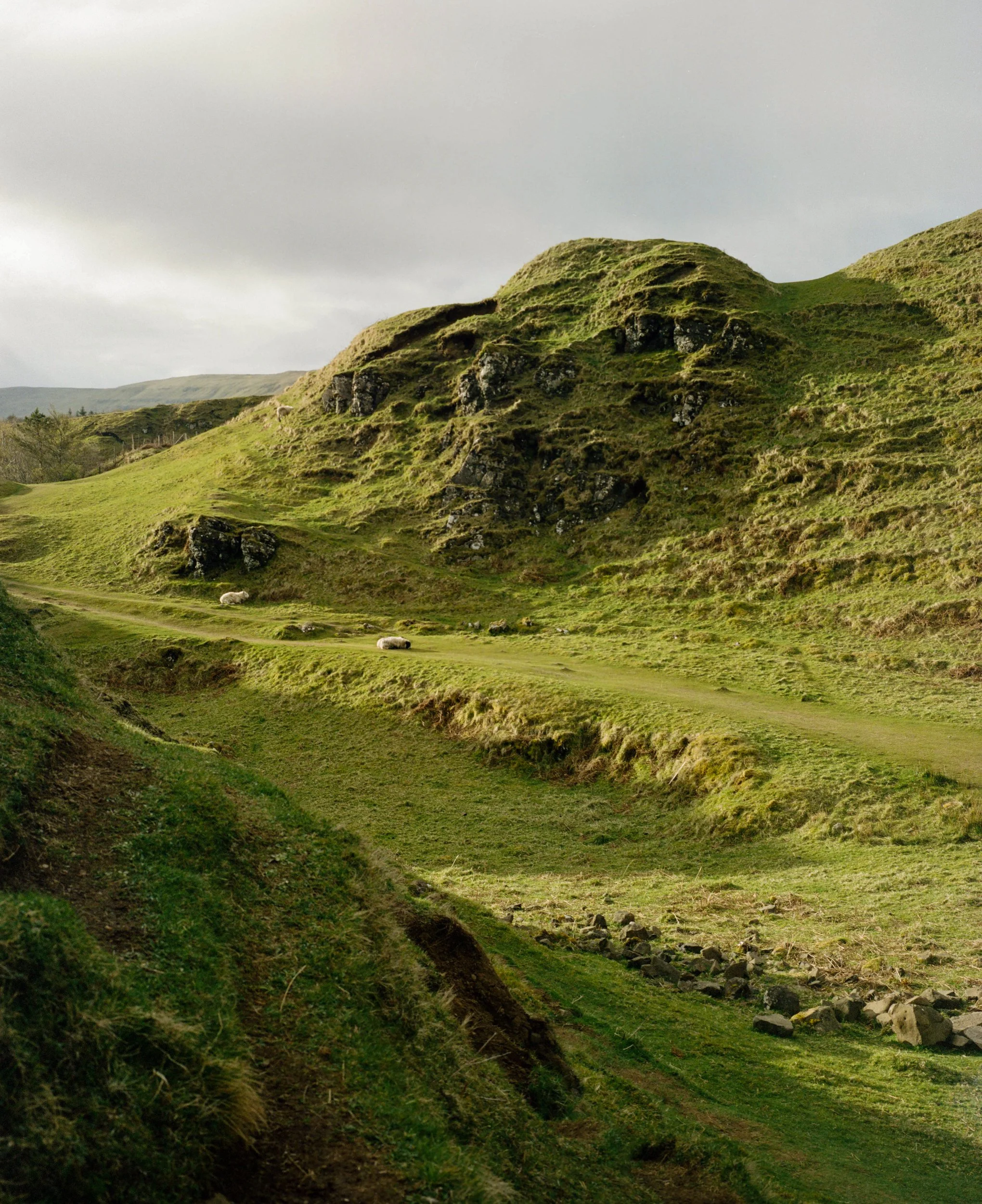 264454010001 copy-2.jpg