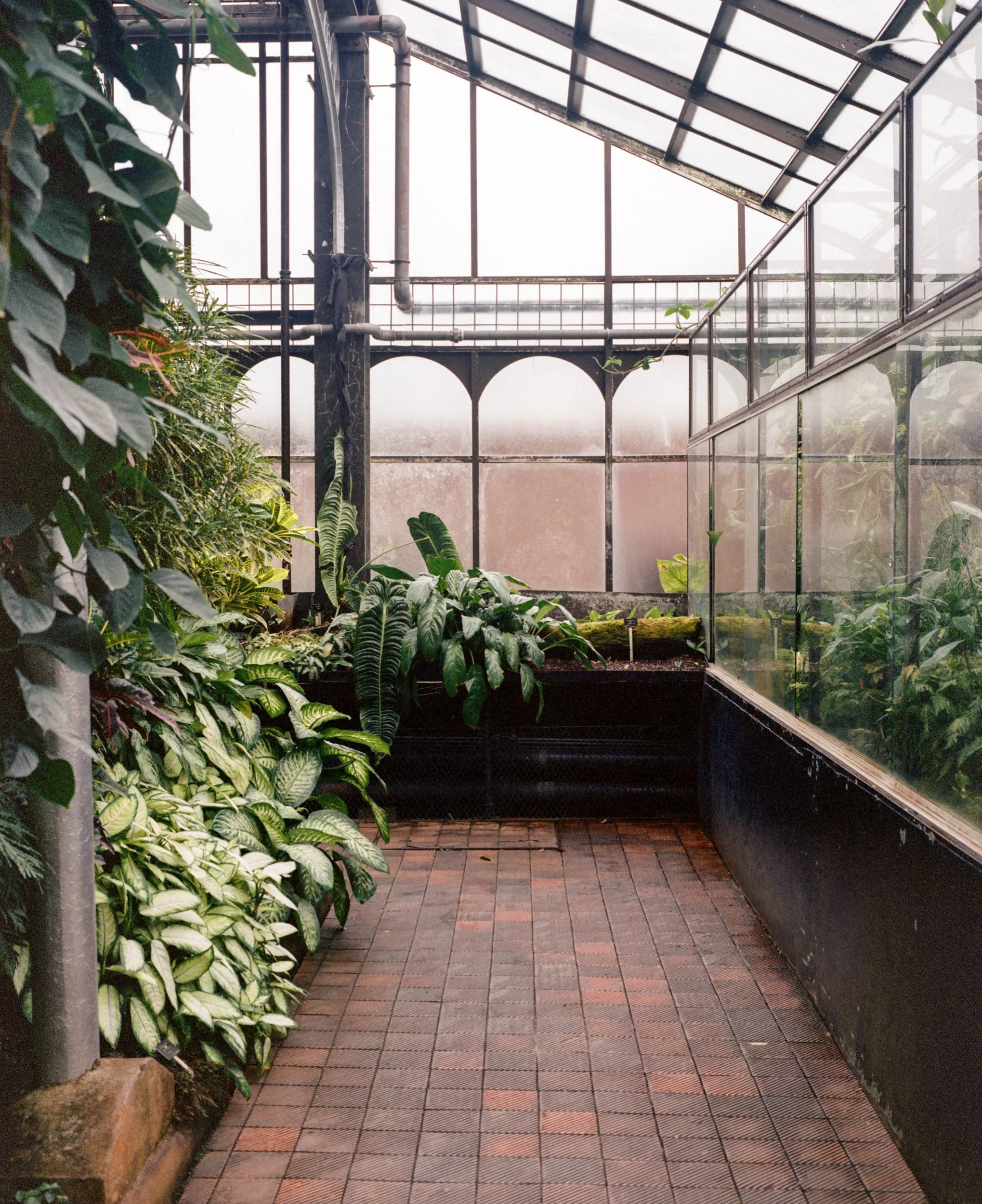 264454050009 copy2.jpg