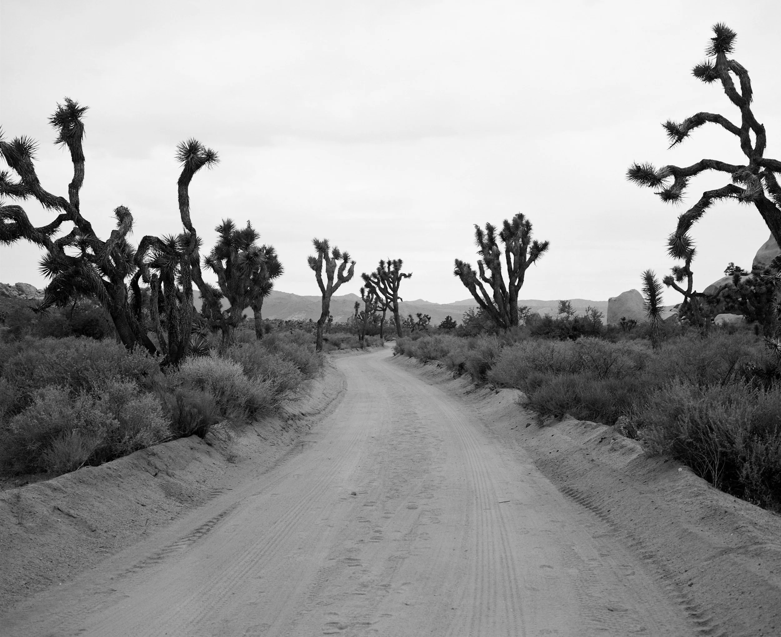 Joshua Tree National Park, California