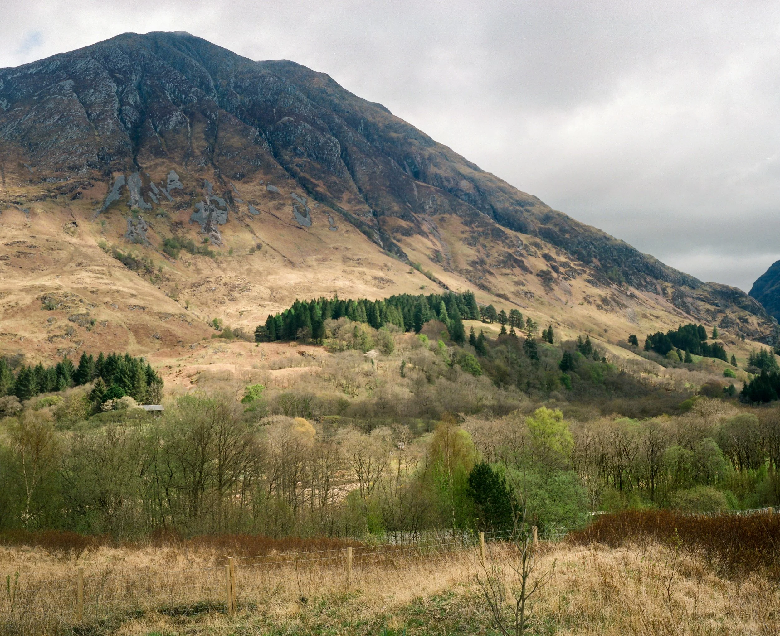 264454030006 copy.jpg