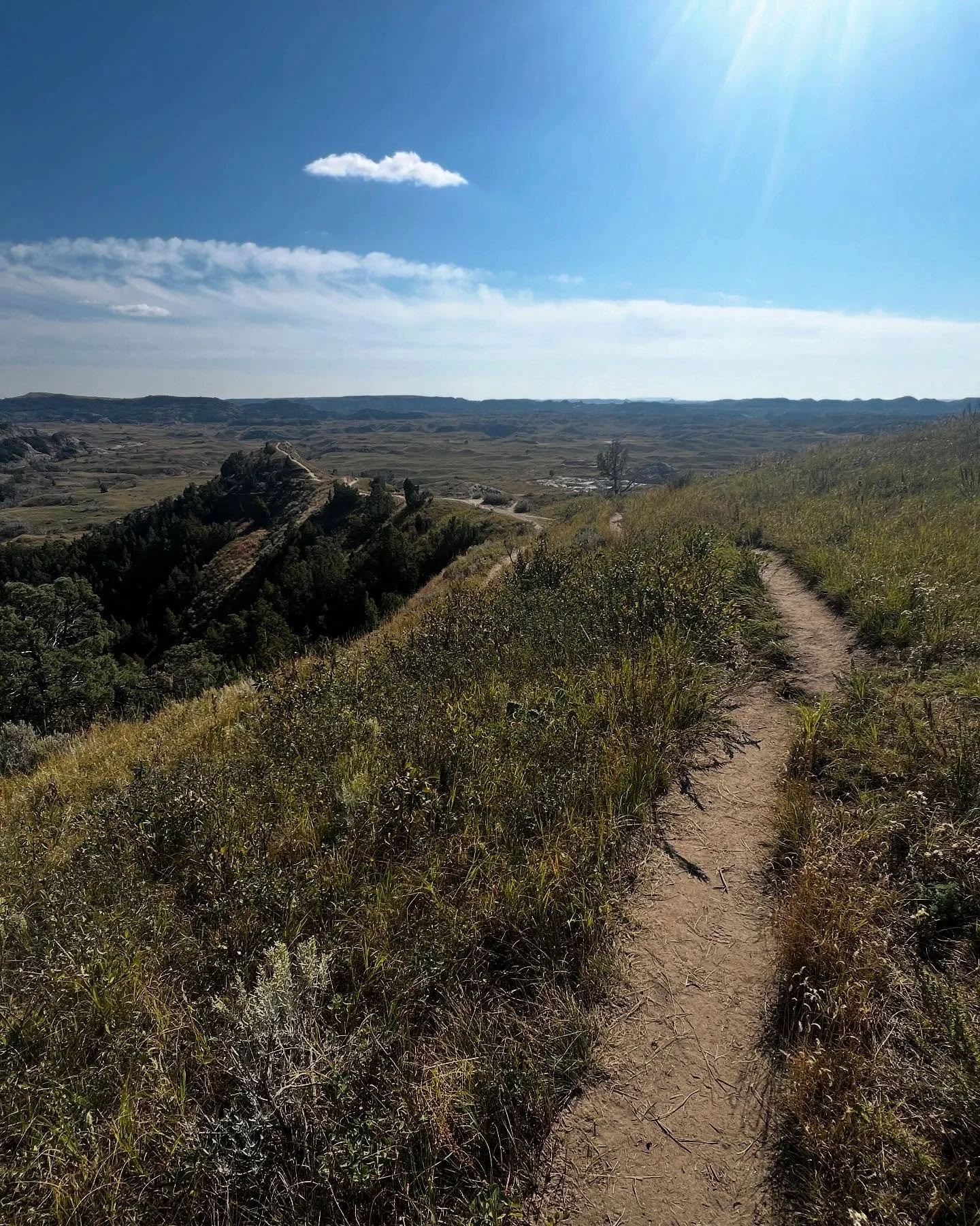 My first time at Teddy Roosevelt National Park! Took a little hike, saw a bison and turkeys and got a buddy for my nephew:) #travel #nationalparks