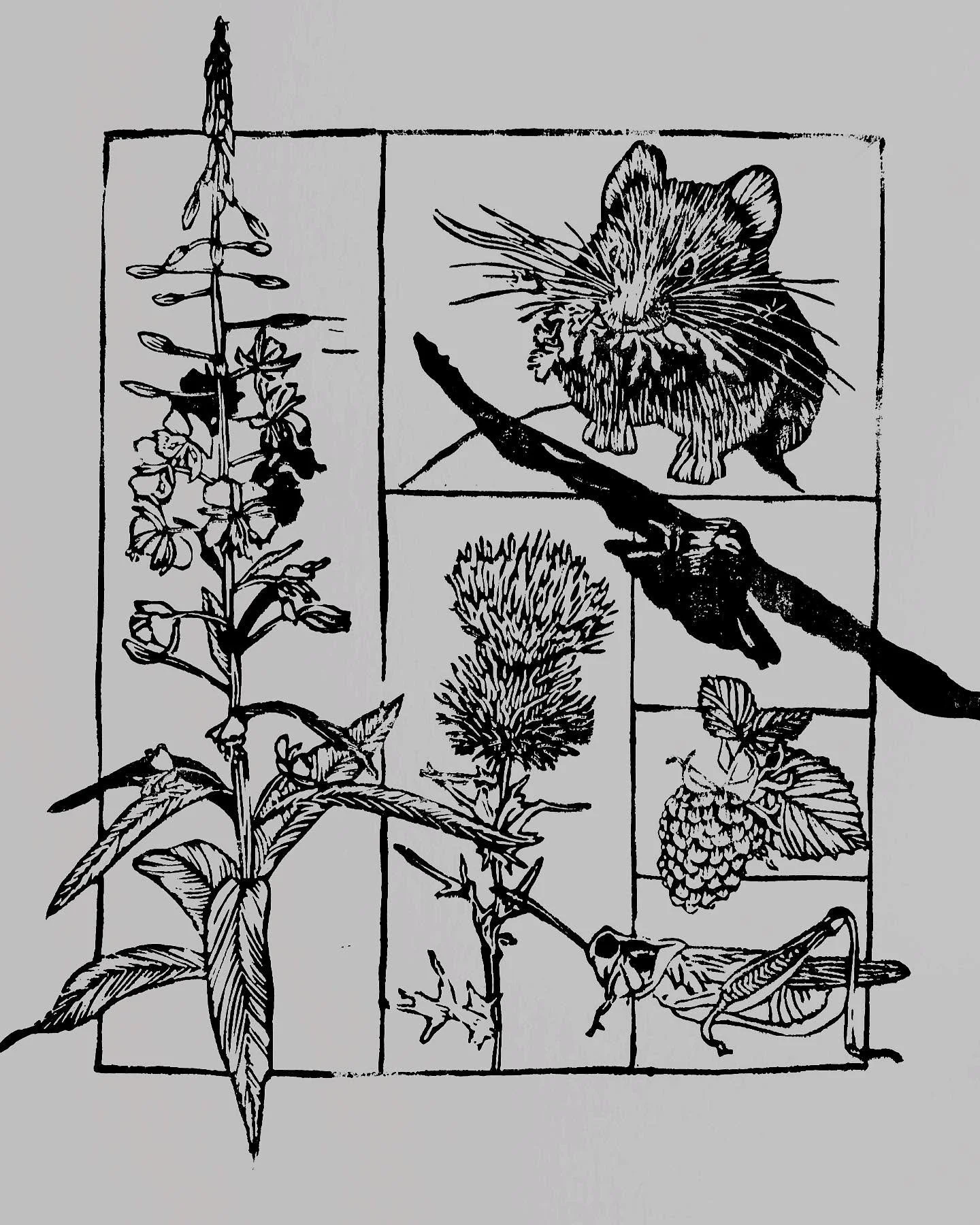 My Alpine Life design is based on observations made while in my favorite place, The Beartooth Mountains. It&rsquo;s everything that represents an Alpine Fall to me, from the bright call of a pika and the click click of grasshoppers to the sweetness o
