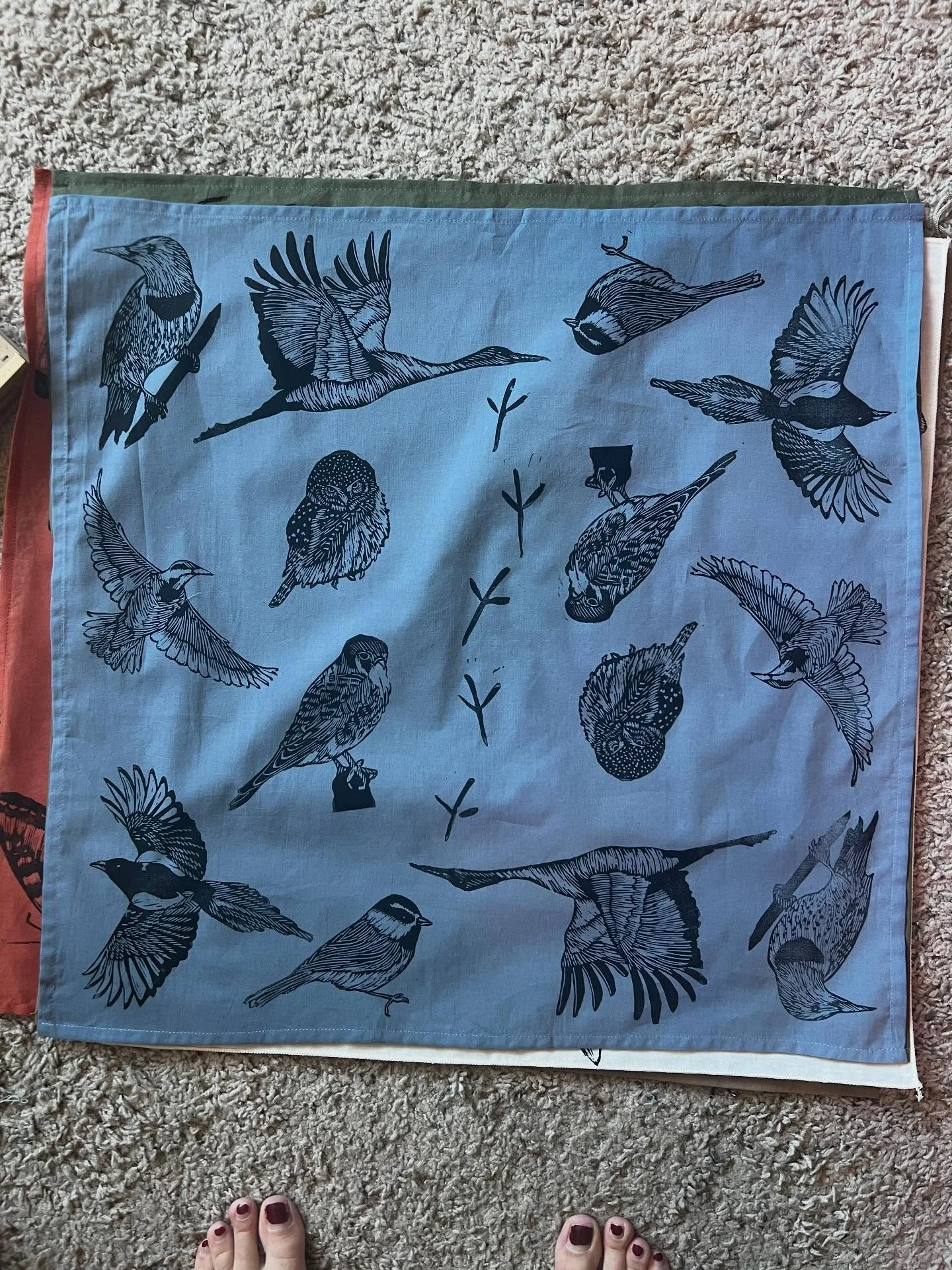 Birds!!! What bird is your favorite? 
#birds #flight #soaring #skyfullofsong #linocut