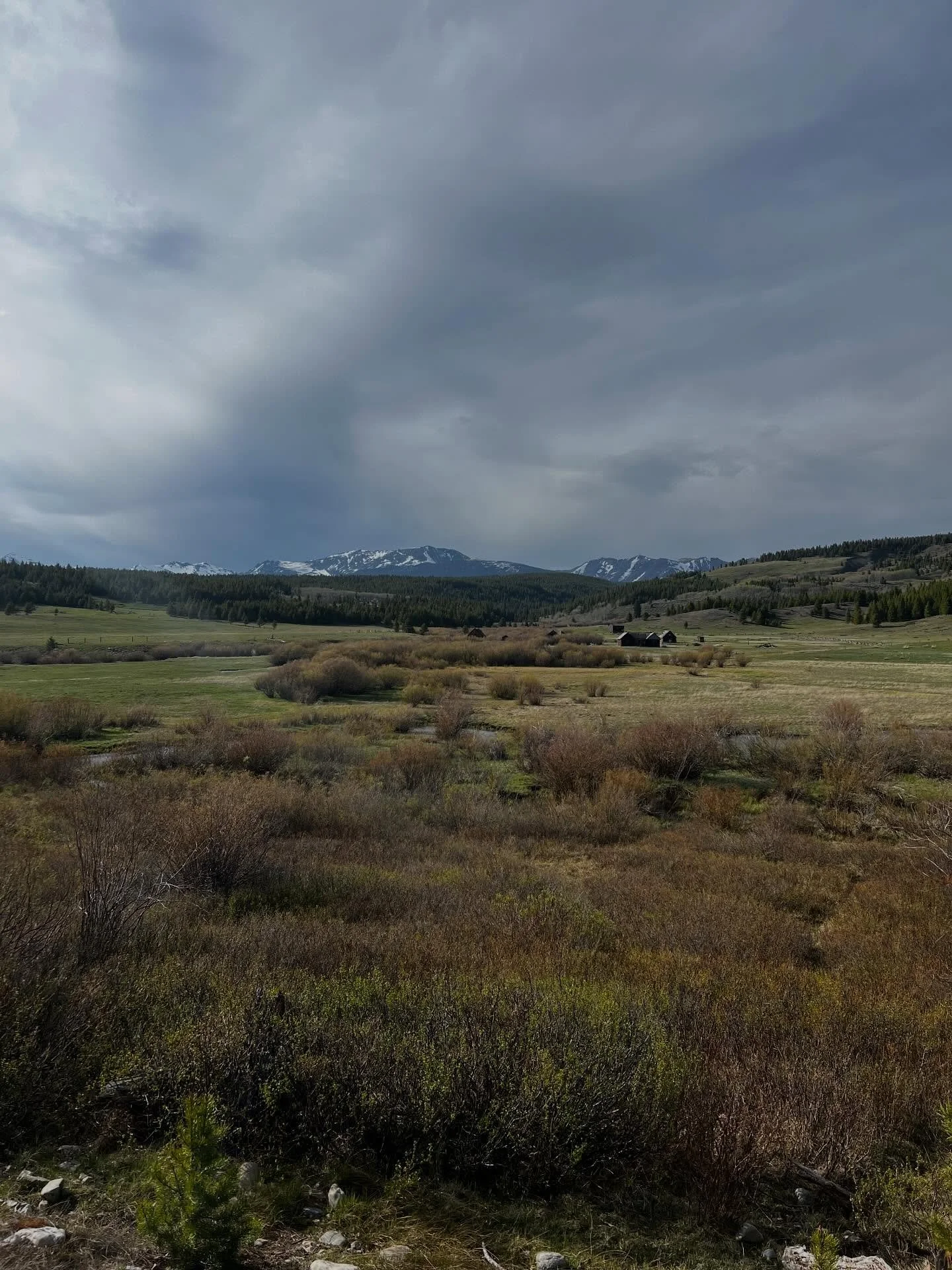 Loved getting to road trip to Hamilton again this year with my mom for the Love Your Mother market! 
So excited about my pieces from @bzook_ceramics ! 
@on_the_lawn_events 

#artistssupportingartists #Montana #eveningdrive #lookattheview