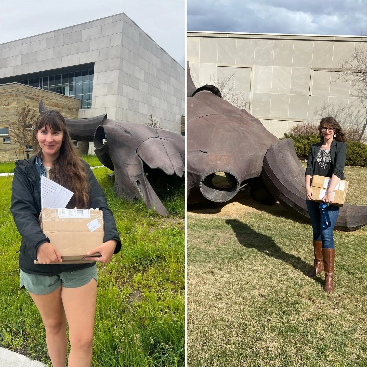 Full circle moment!!! Today I got to drop an order off @thegiftshopmt at the Montana Heritage Center. I never would have guessed in my former life as a museum professional that I would one day be dropping off a box of my artwork to a museum! 
2026/20