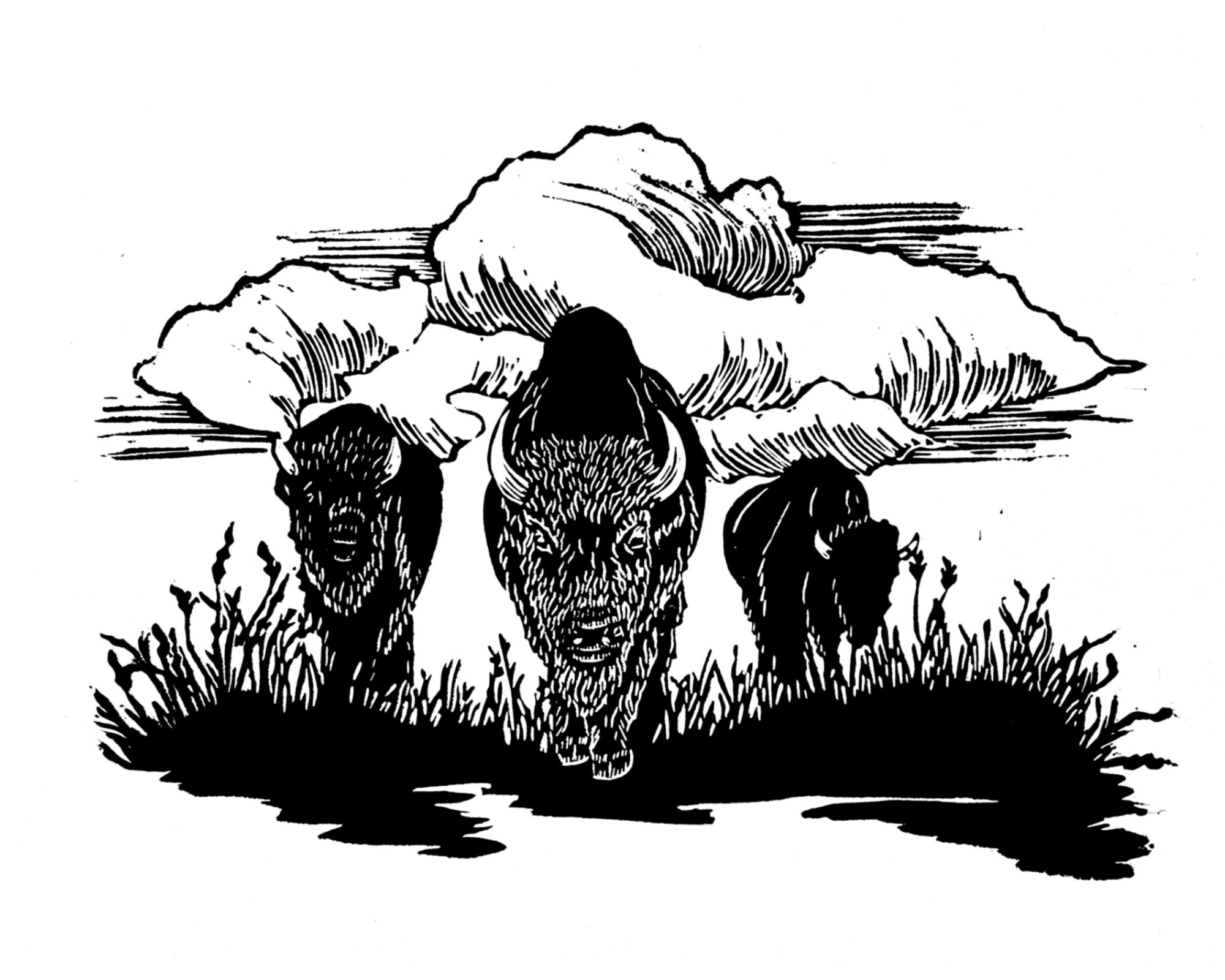 Untitled+design+-+2.png (Copy)